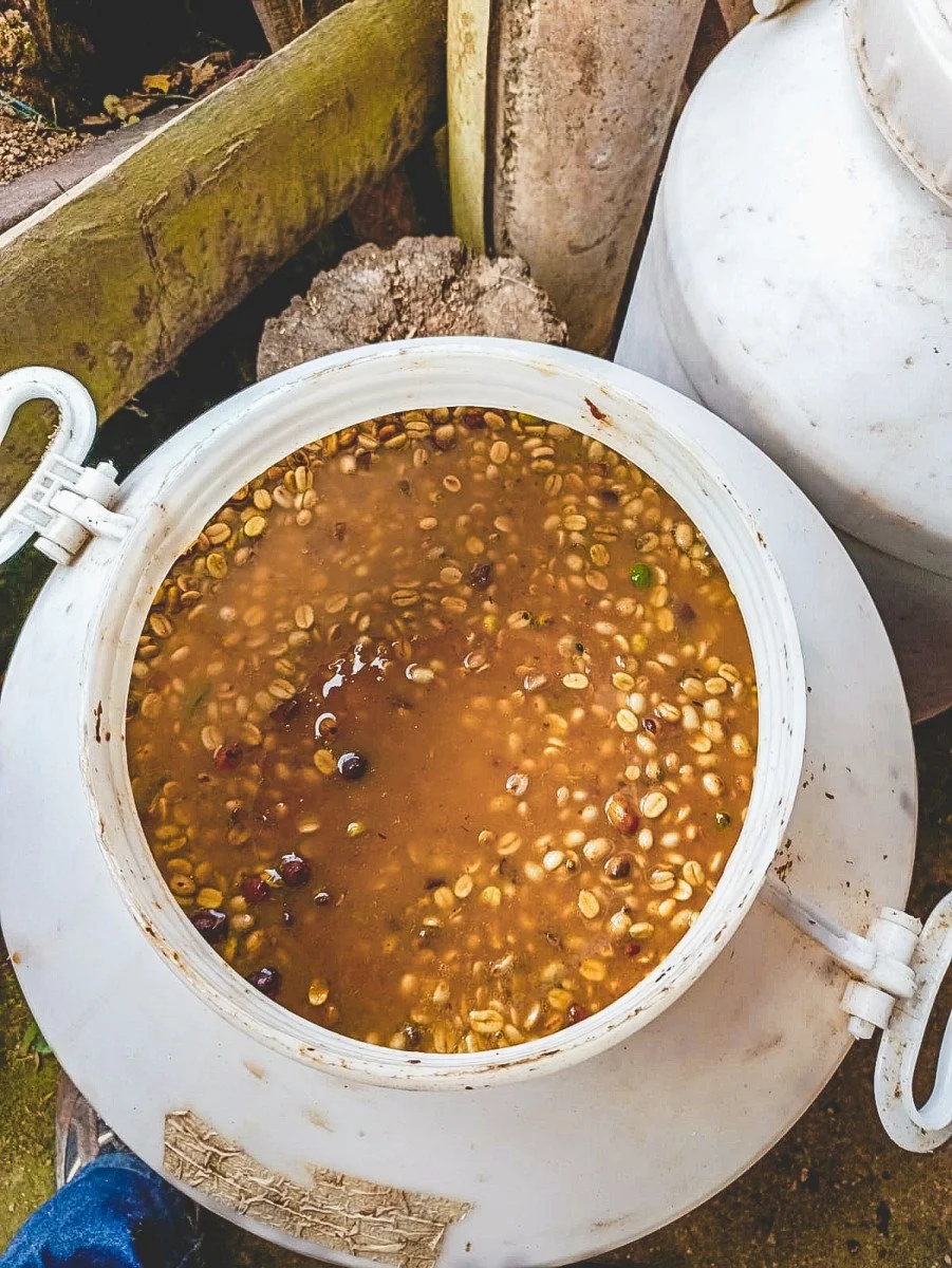 image of peach concentrate & coffee fermenting