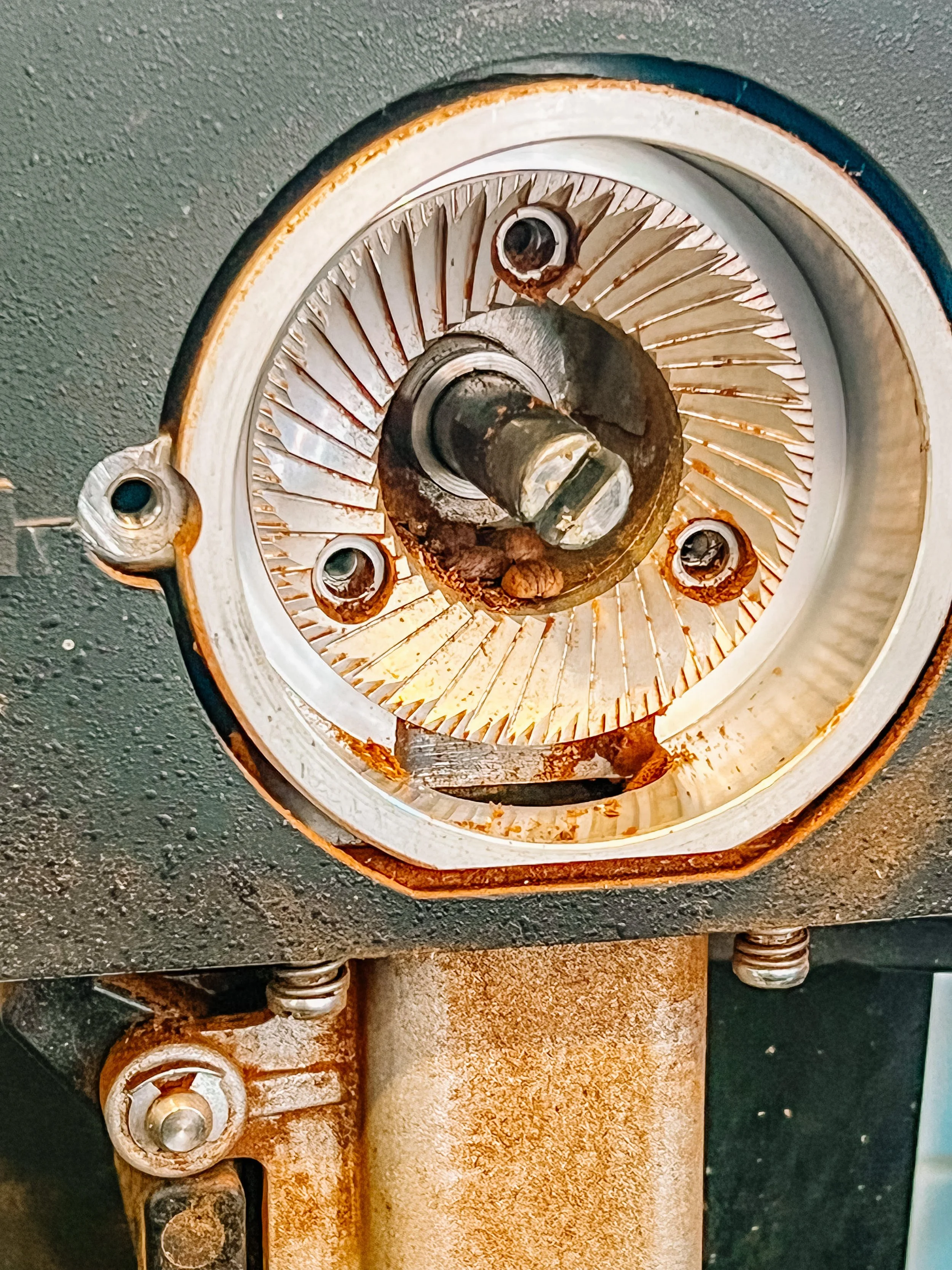 New Burrs: When Do You Need Them?