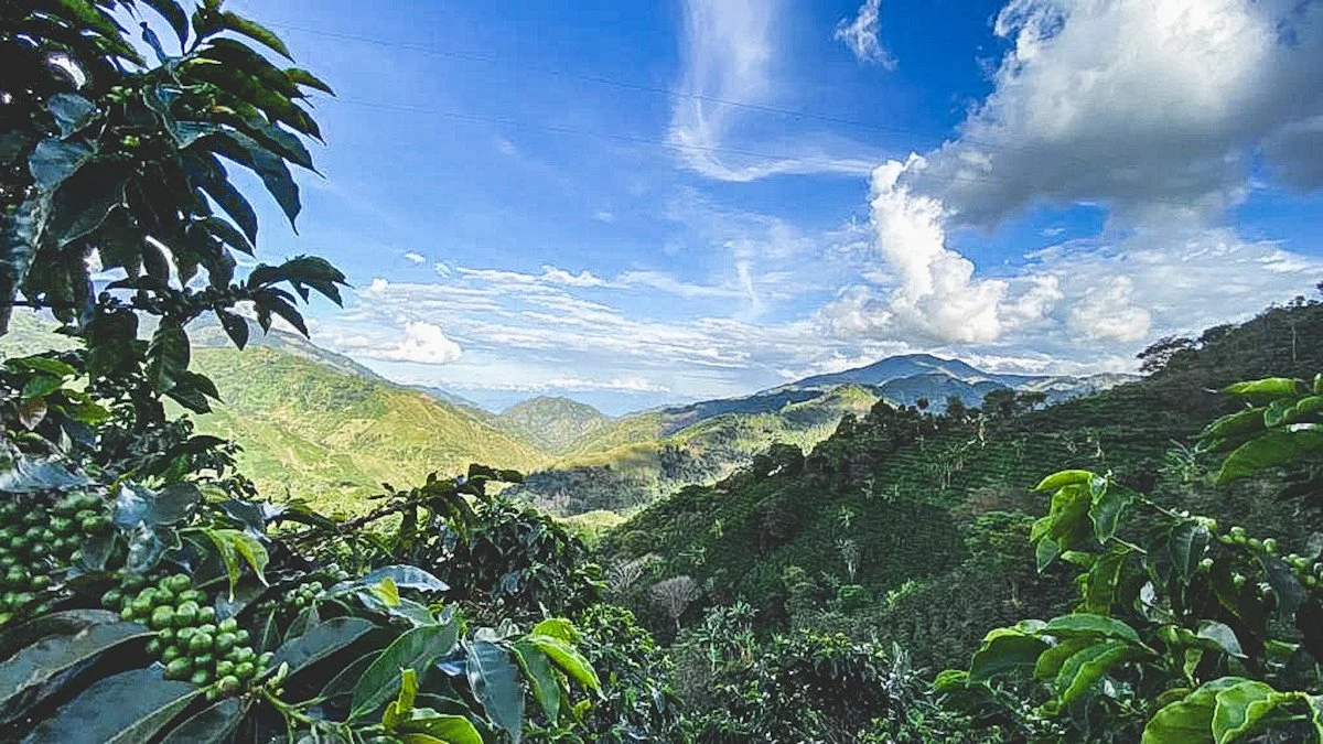 image of mountains in Huila
