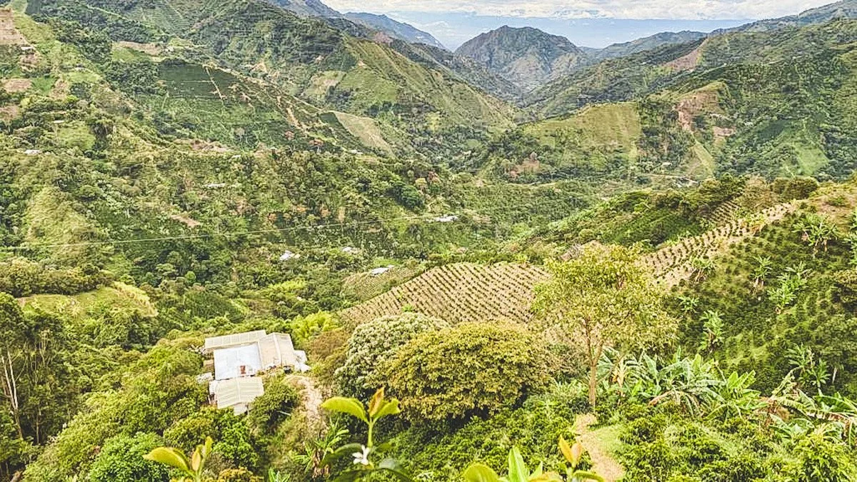 image of Finca La Pradera landscape with trees/valleys/mountains