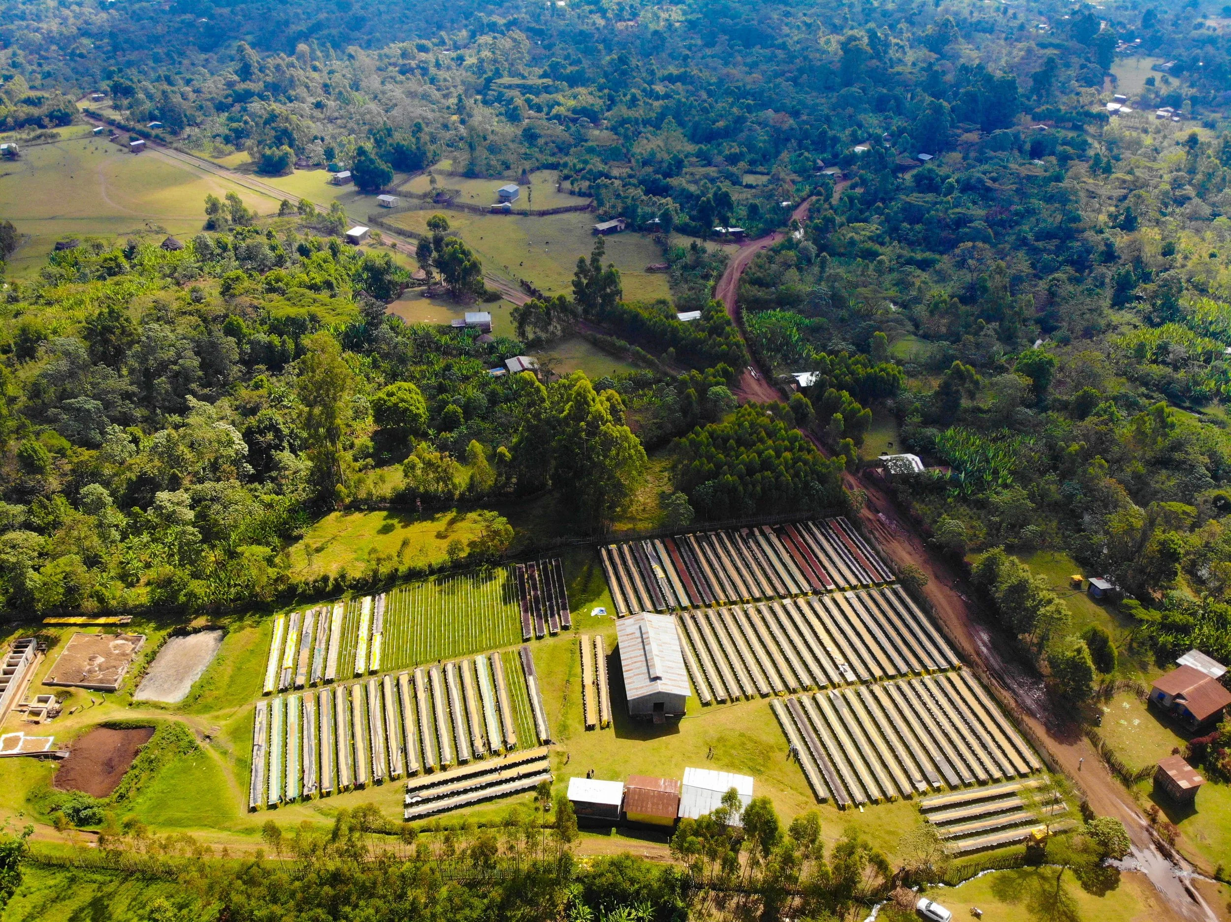 aerial image of Bensa Washing Station showing drying beds and buildings