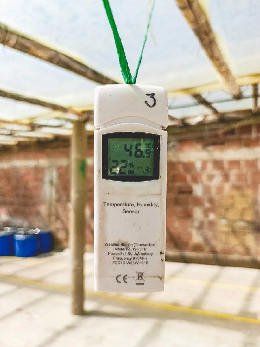 image of temperature and relative humidity measurements during coffee drying