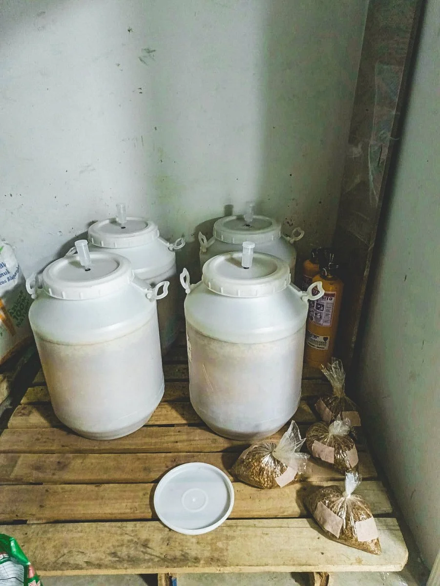 image of four fermentation barrels