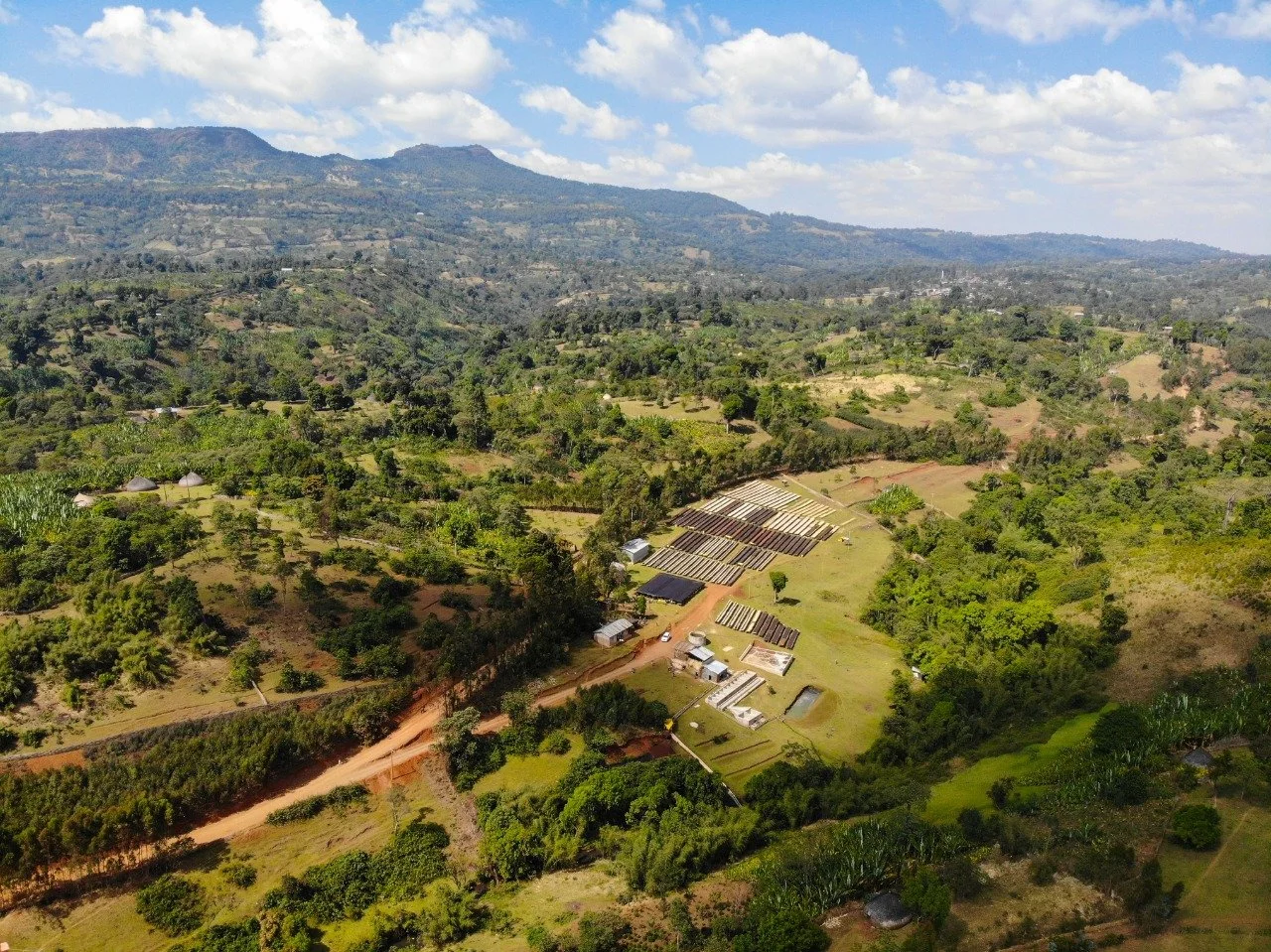 aerial image of Hamasho washing station in Bombe Mountains