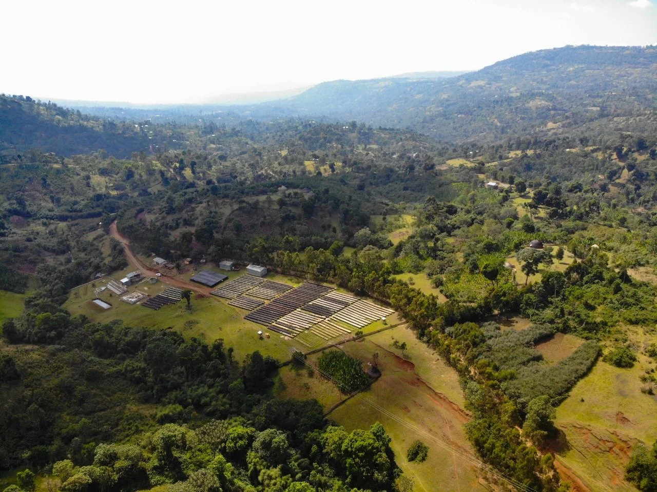 aerial image of Hamasho washing station in Bombe Mountains