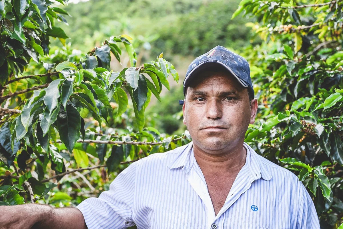 image of coffee farmer Reinel Borbon