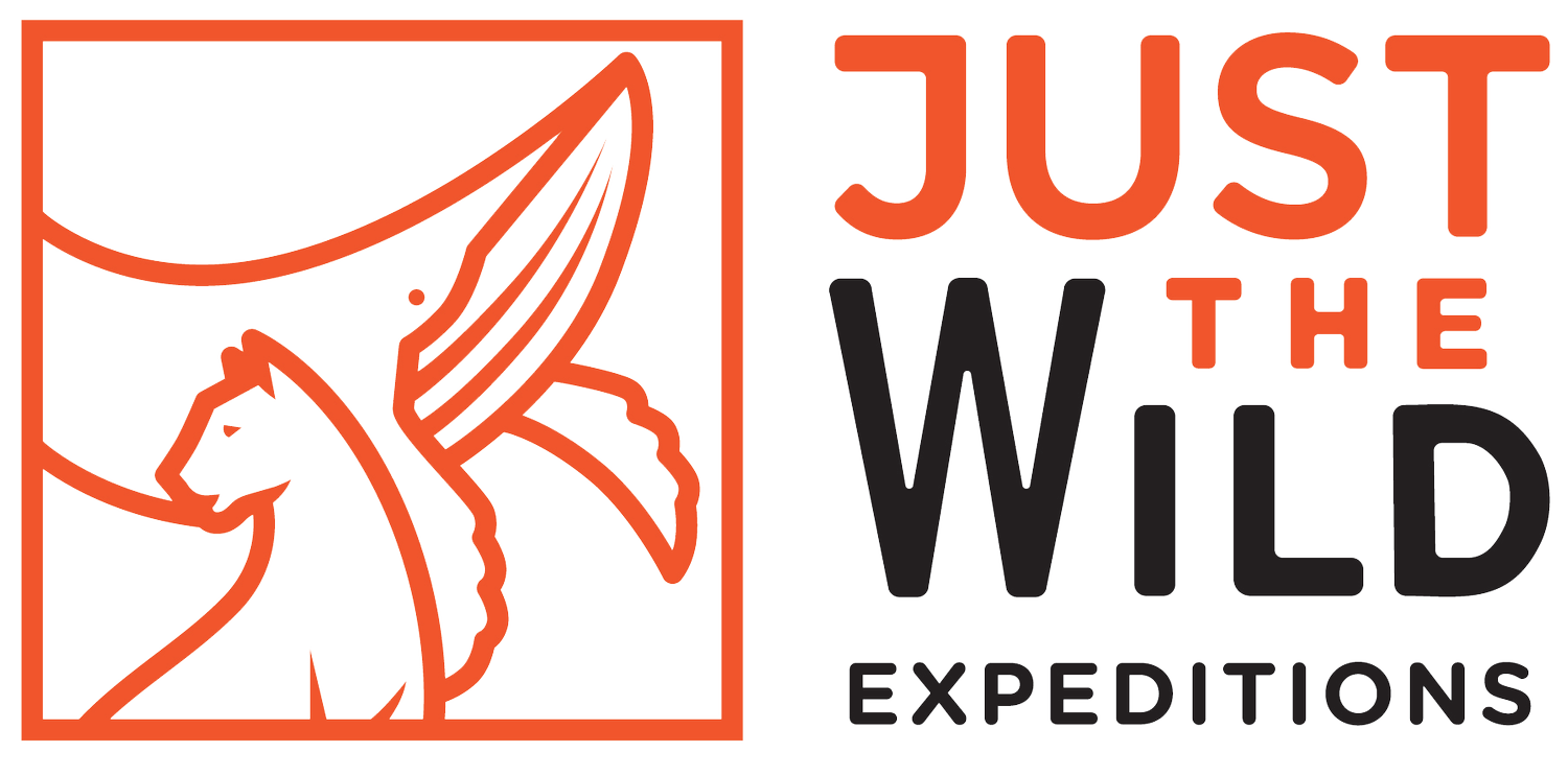 Just the Wild Expeditions