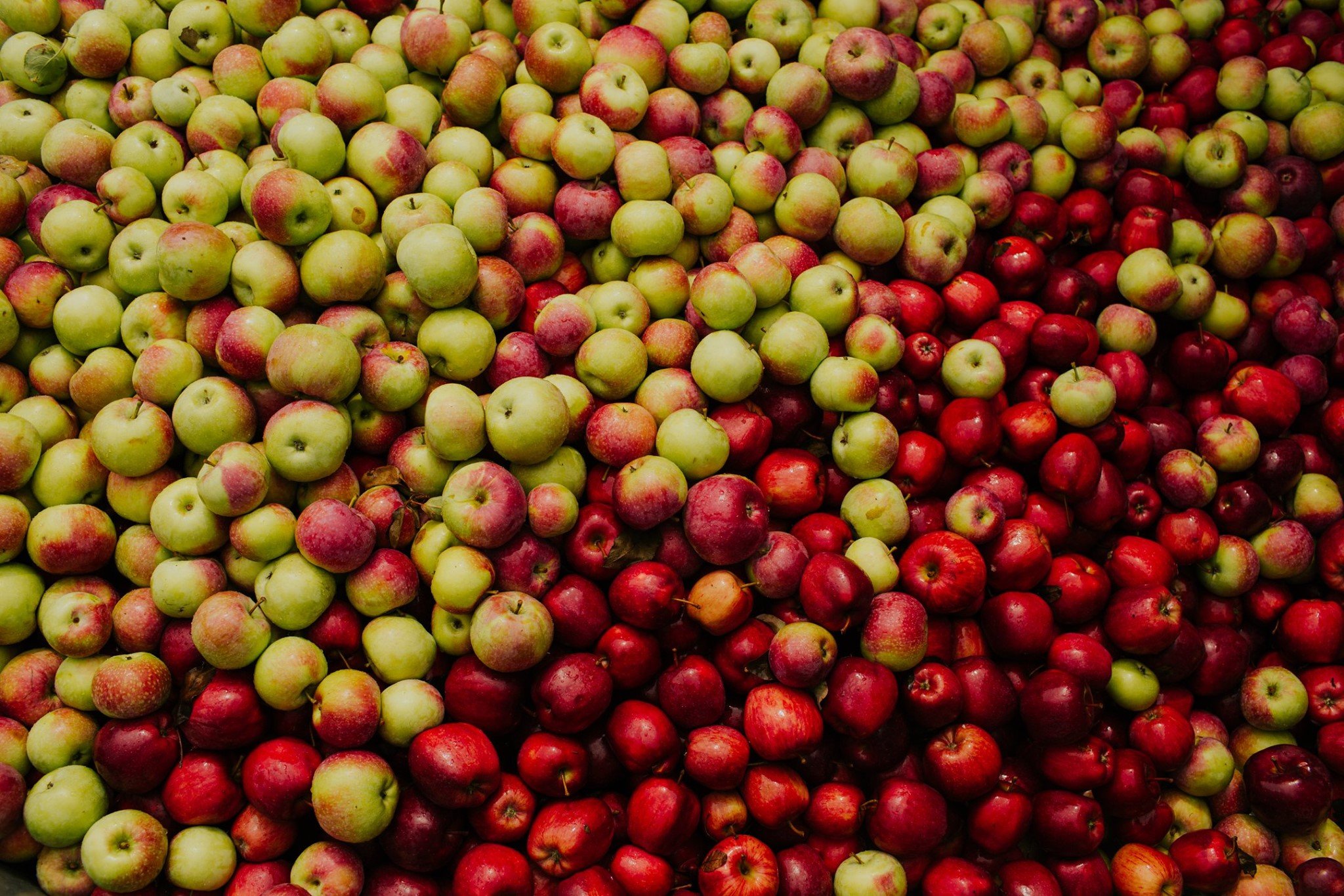 Michigan Organic Fruit Certified Organic Fruit Plymouth, MI