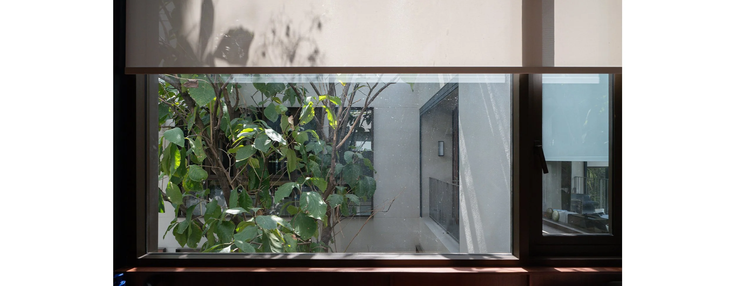 CO TEMPORATY_ST11_16.jpg