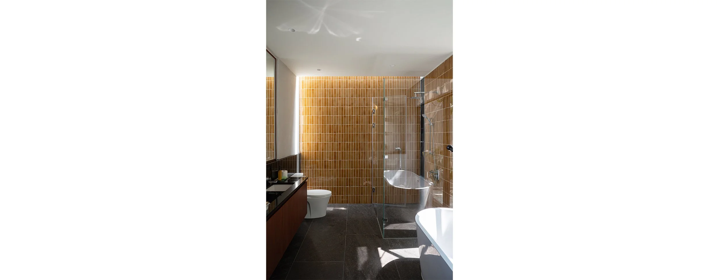 CO TEMPORATY_ST11_14.jpg