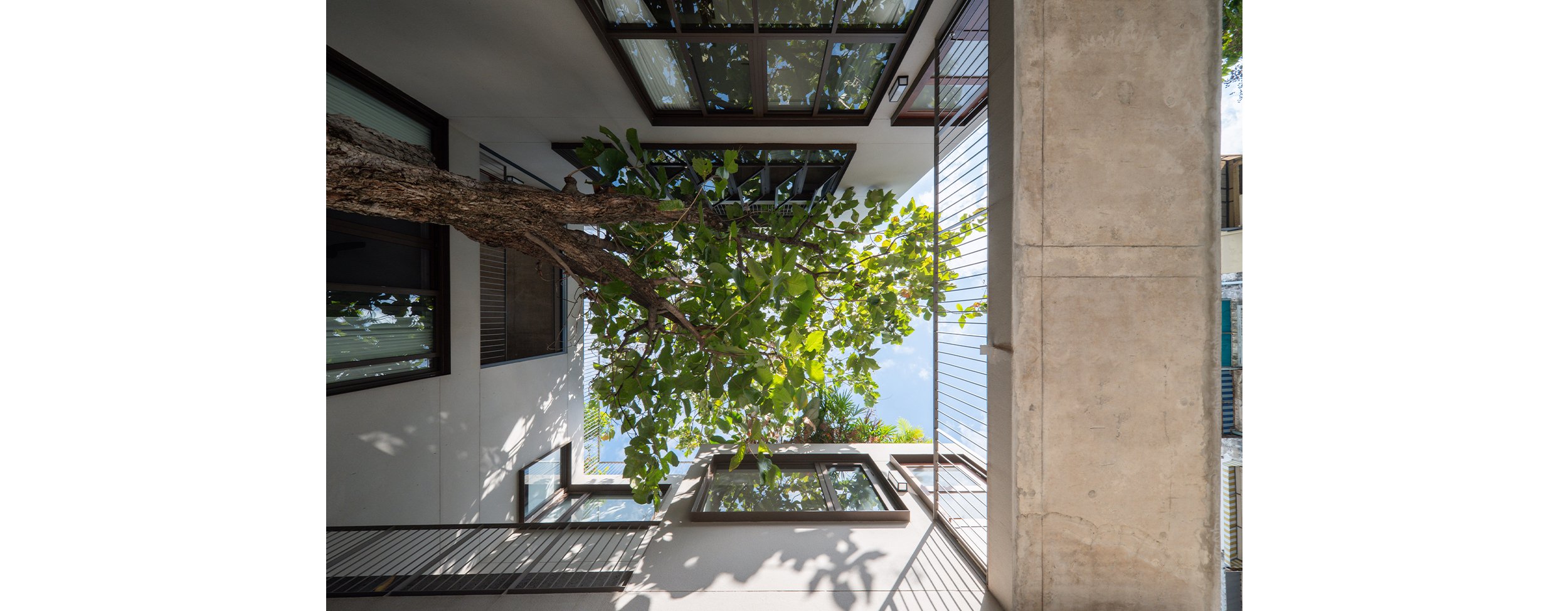 CO TEMPORATY_ST11_05.jpg