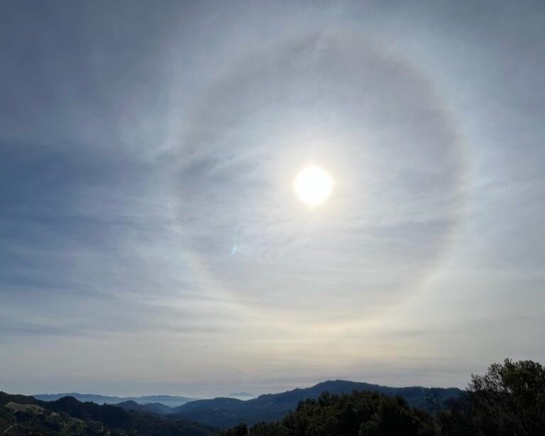 Here Comes the Sun!