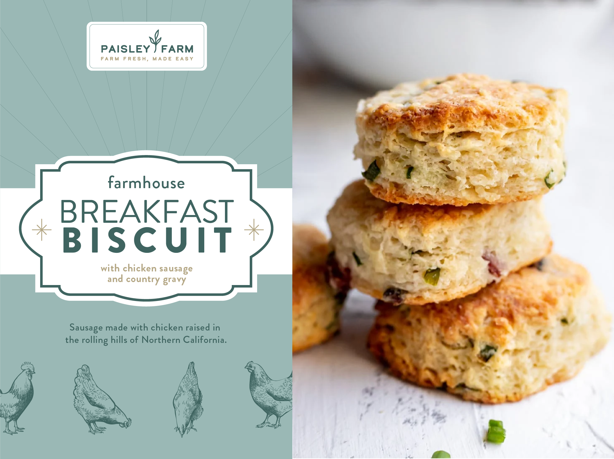 R1 V1 Front of Package