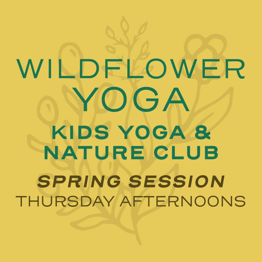 WildflowerYoga-Dandelions-SpringSession-ThursdayAfternoons.jpg
