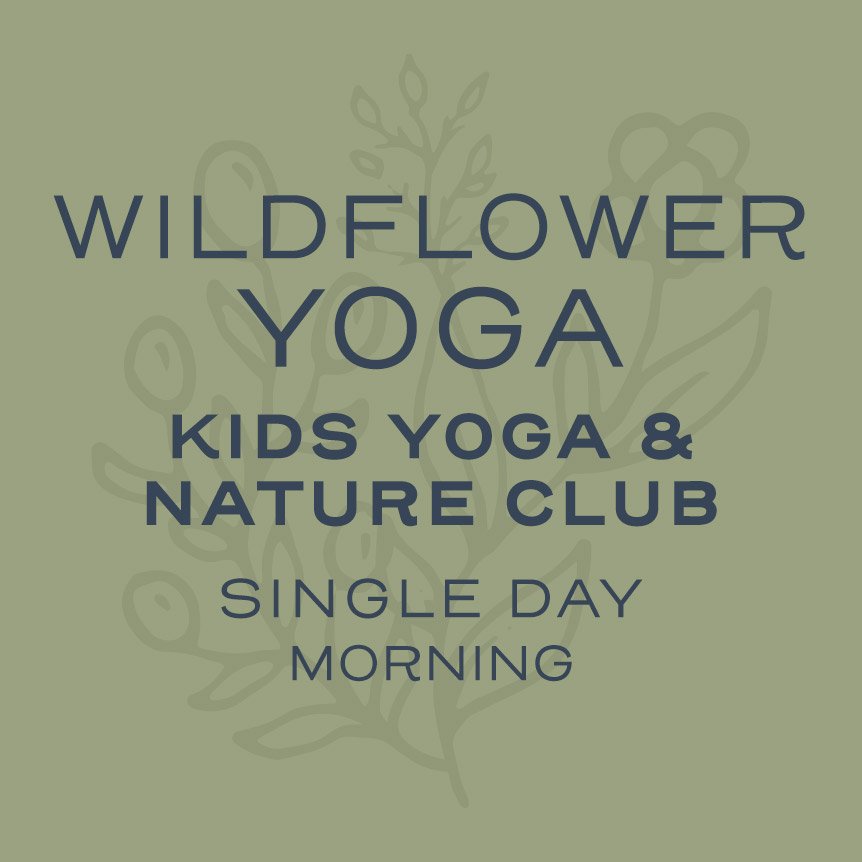 WildflowerYoga-Dandelions-SingleDay_Morning.jpg