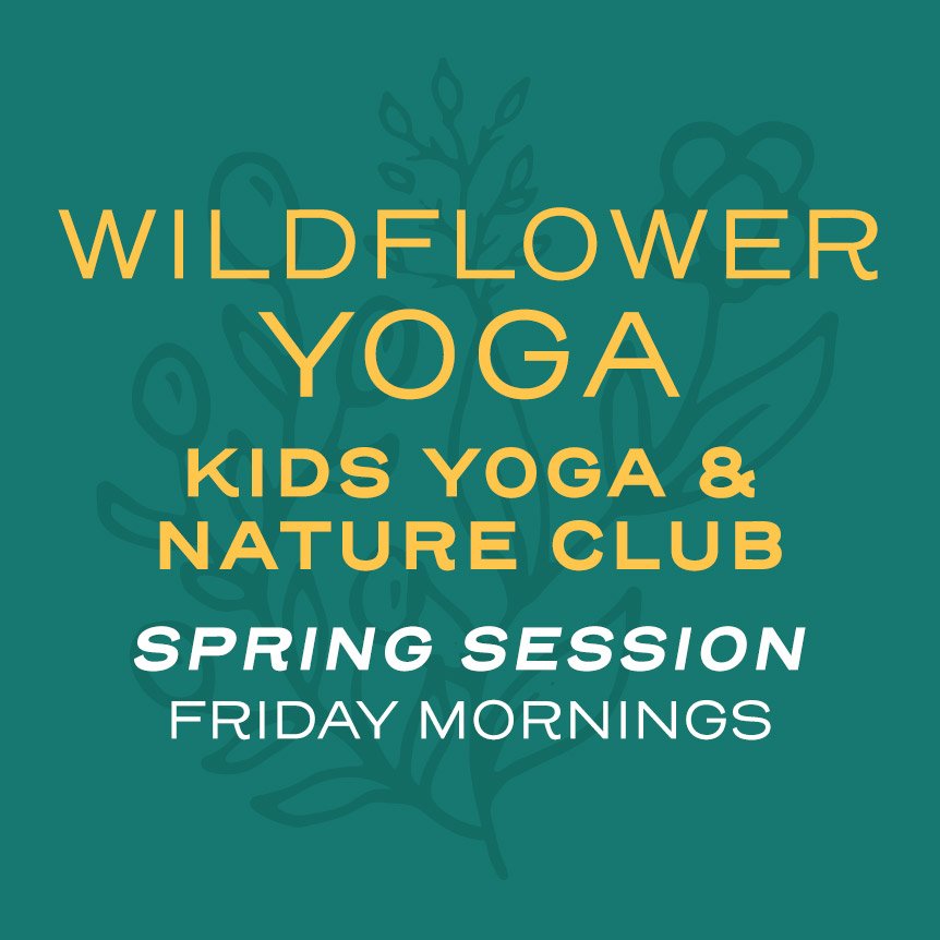 WildflowerYoga-Dandelions-SpringSession-FridayMornings.jpg