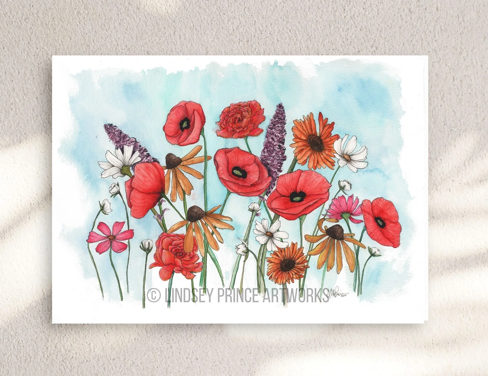 Wildflowers in Bloom - 2025