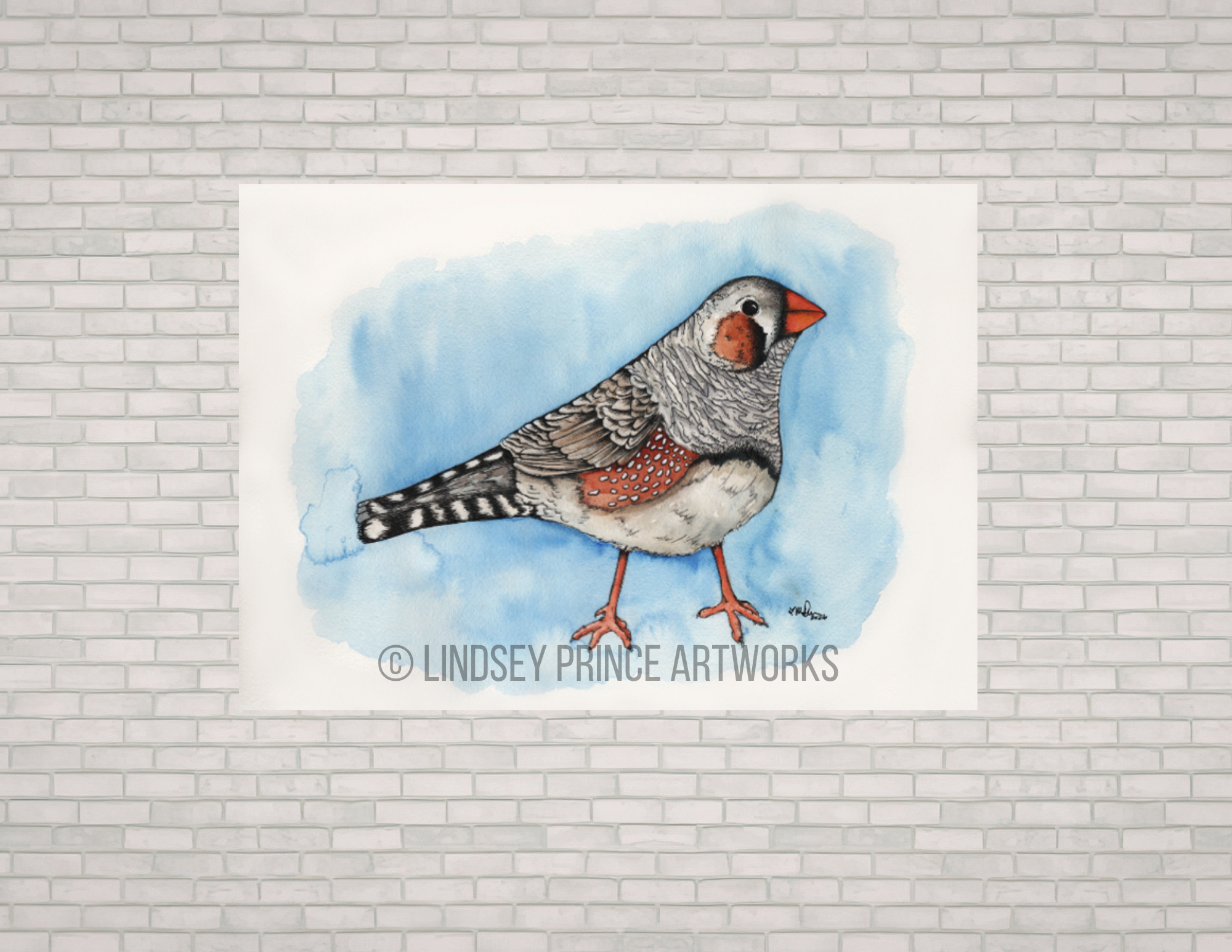 "Attacus Finch" 2026 - prints available soon!