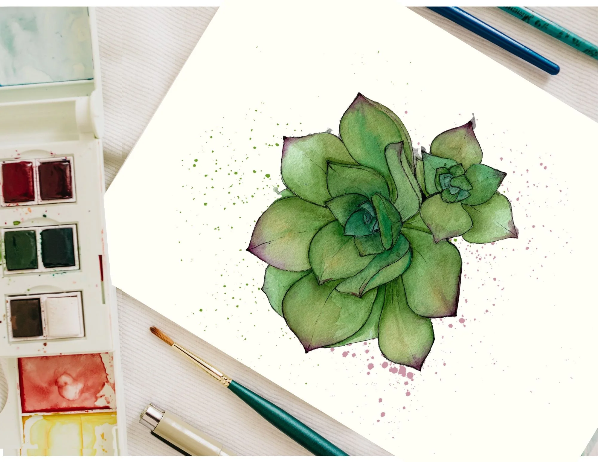 Whimsical Watercolor for Beginners: 102: Succulent Plant