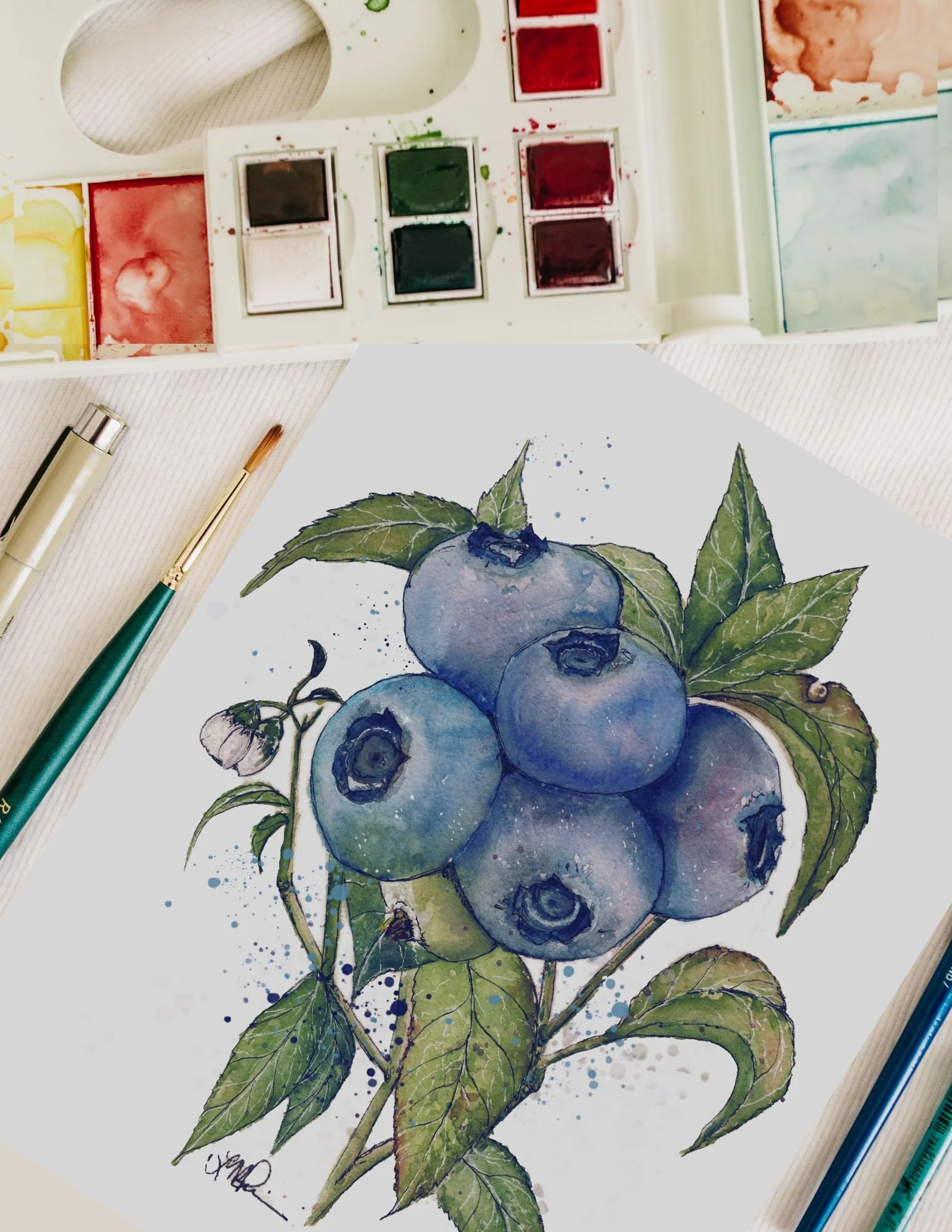 Watercolor 102 Step By Step: Blueberries