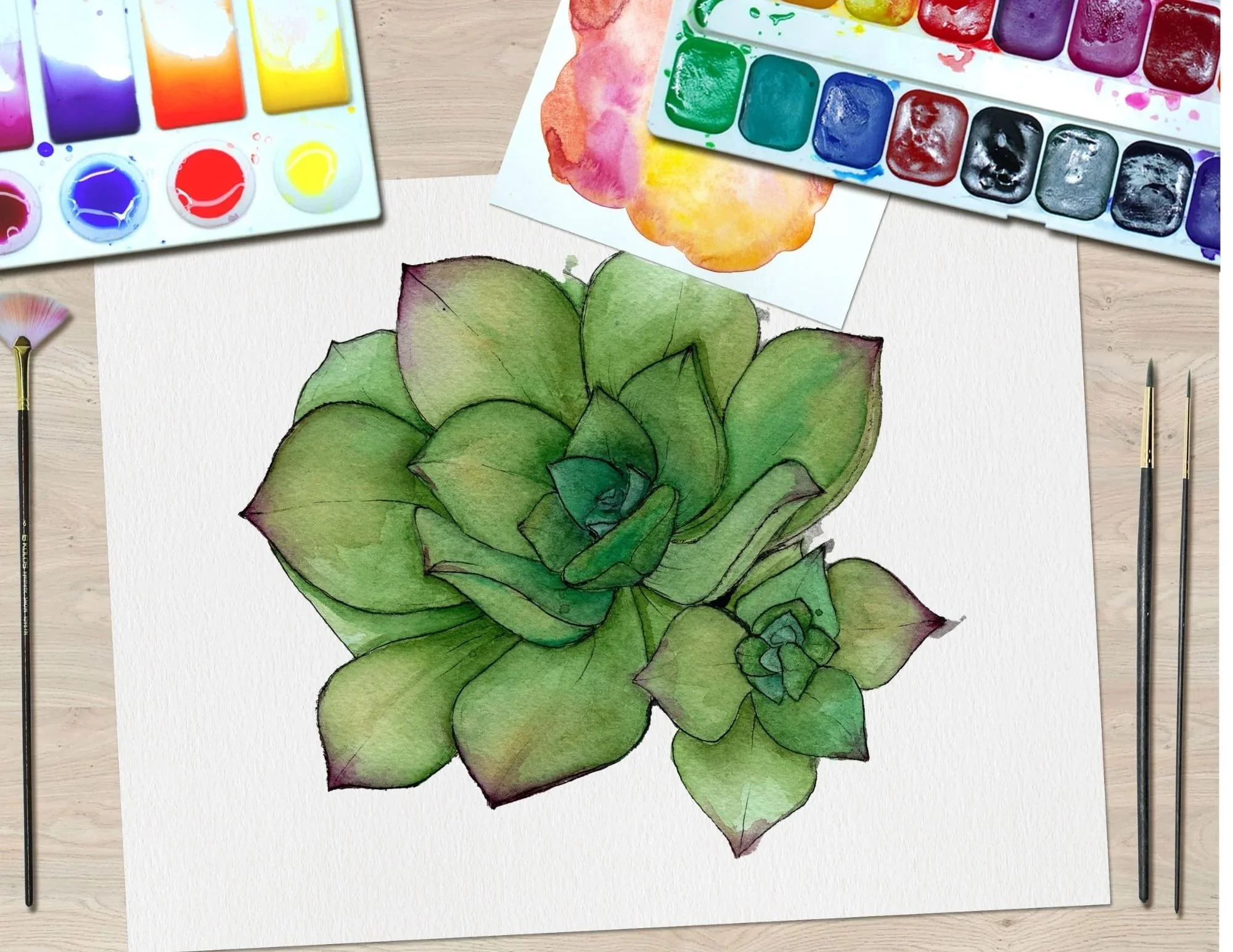 Watercolor 102 Step By Step: Succulent
