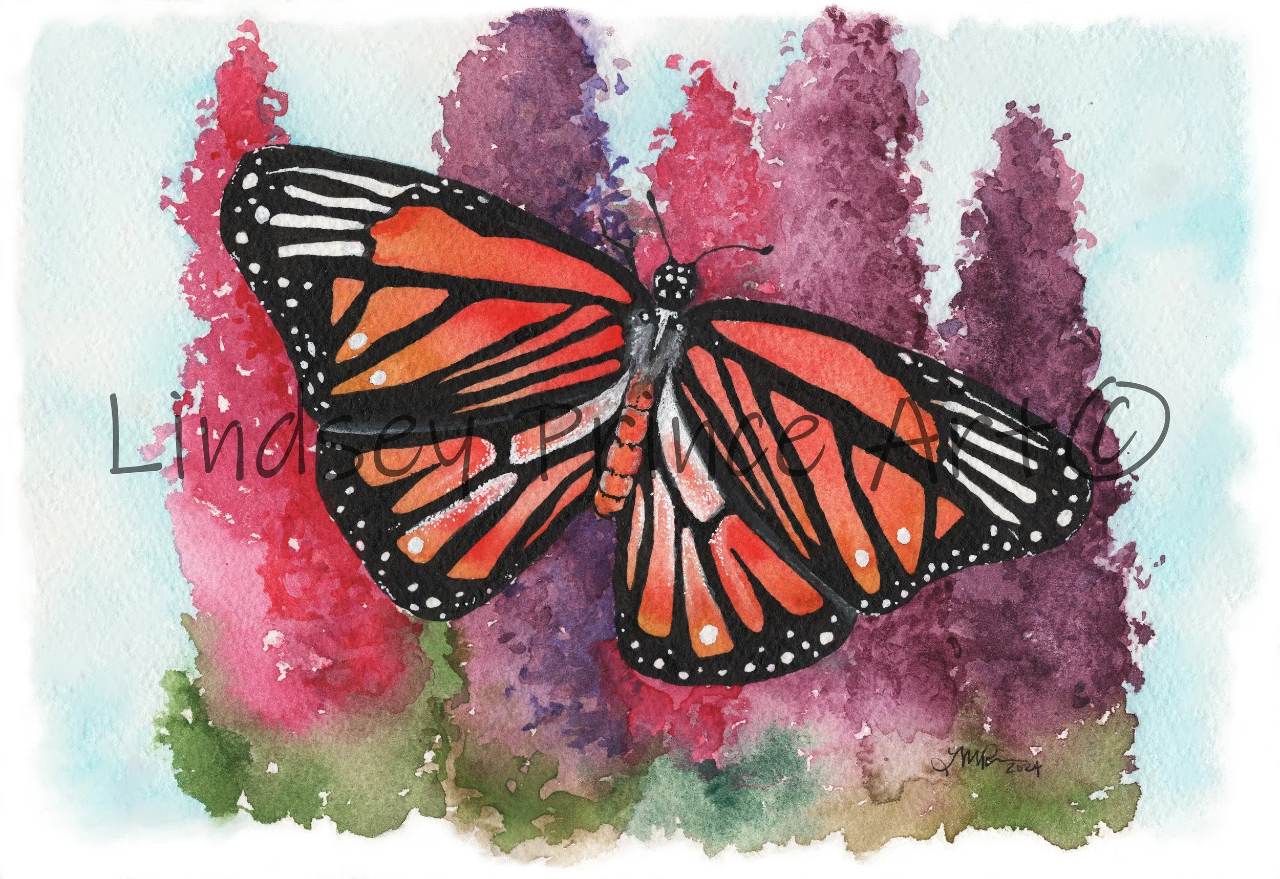 Monarch Butterfly 2024