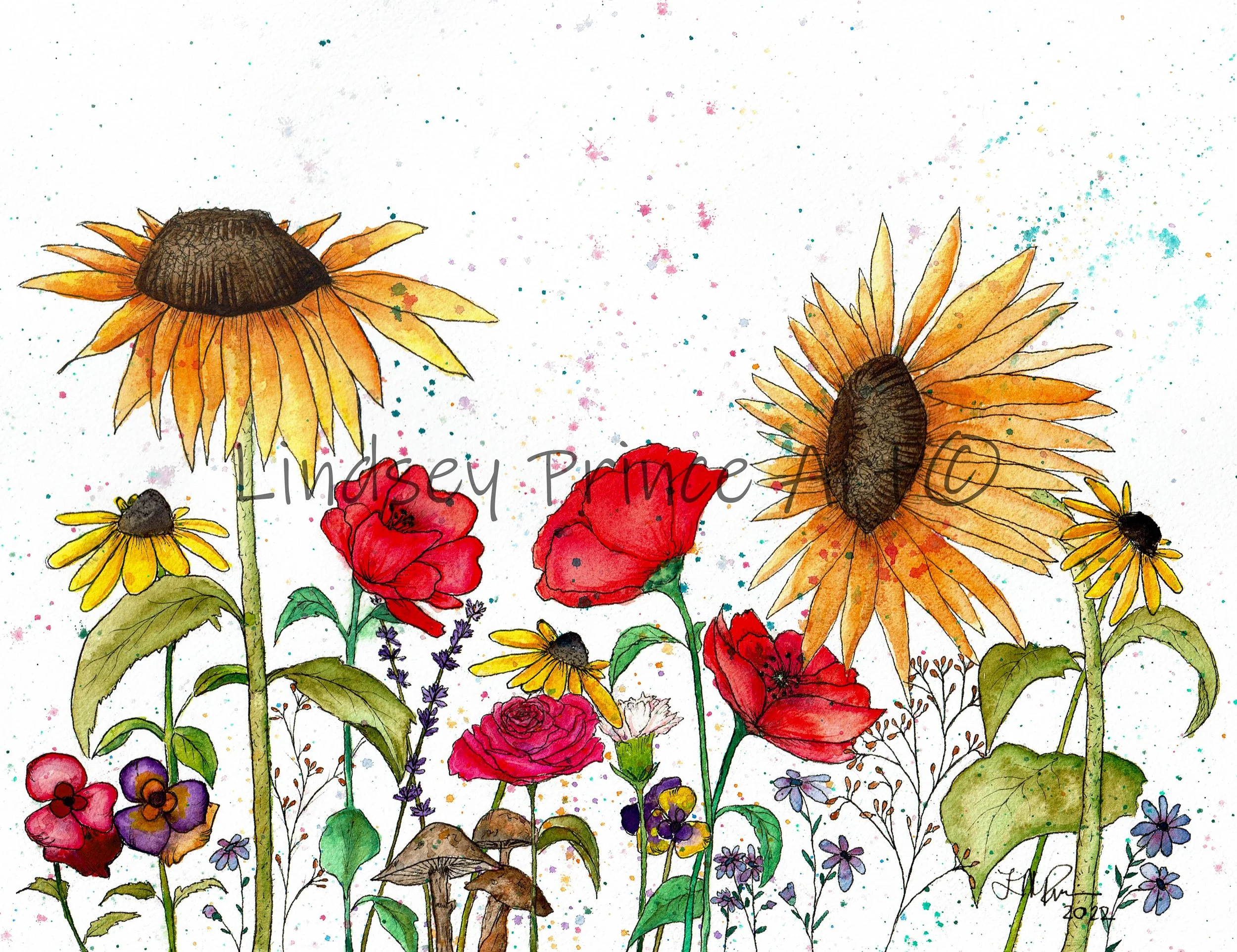 "Summer field of Wildflowers" 2022