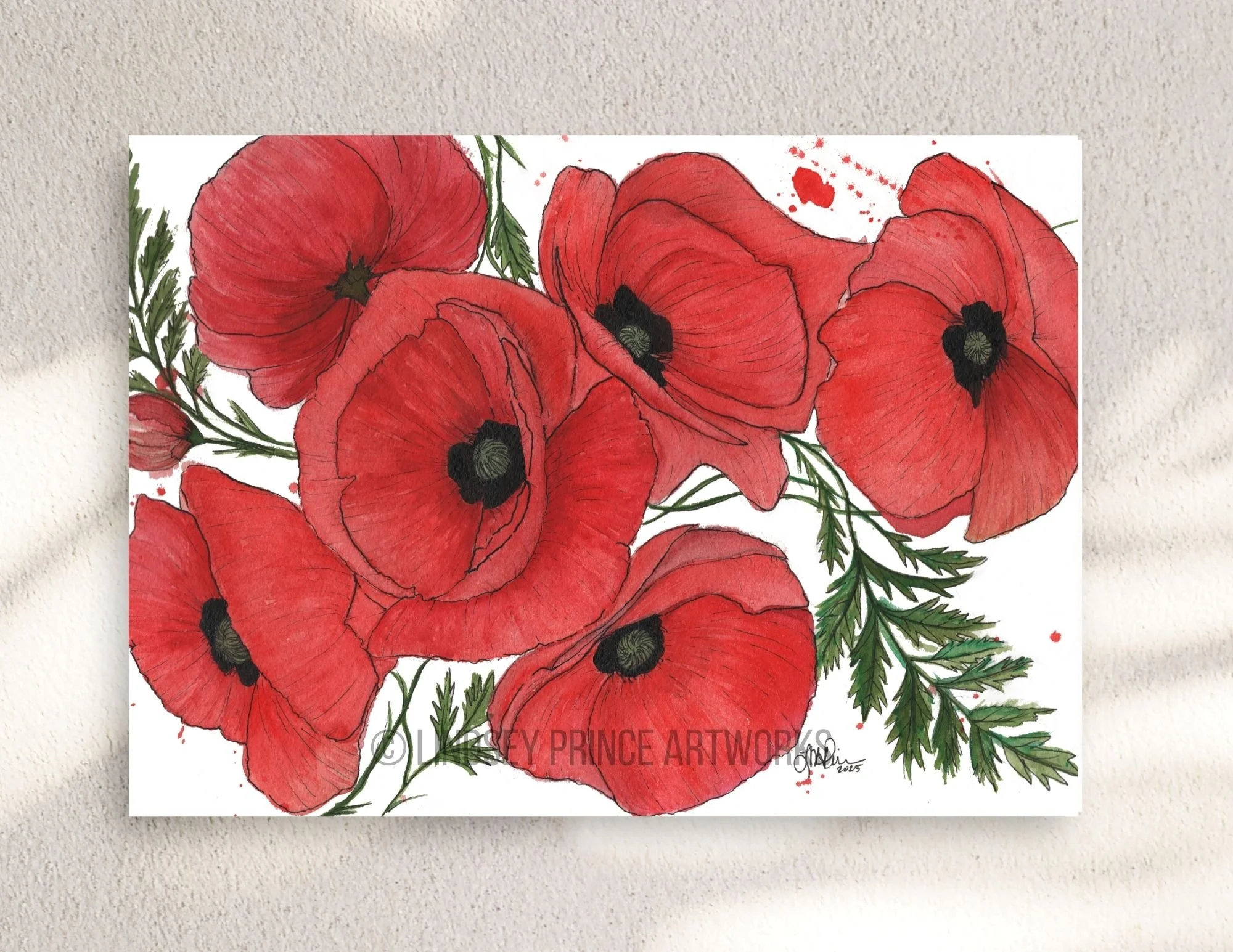 Red Poppies - 2025