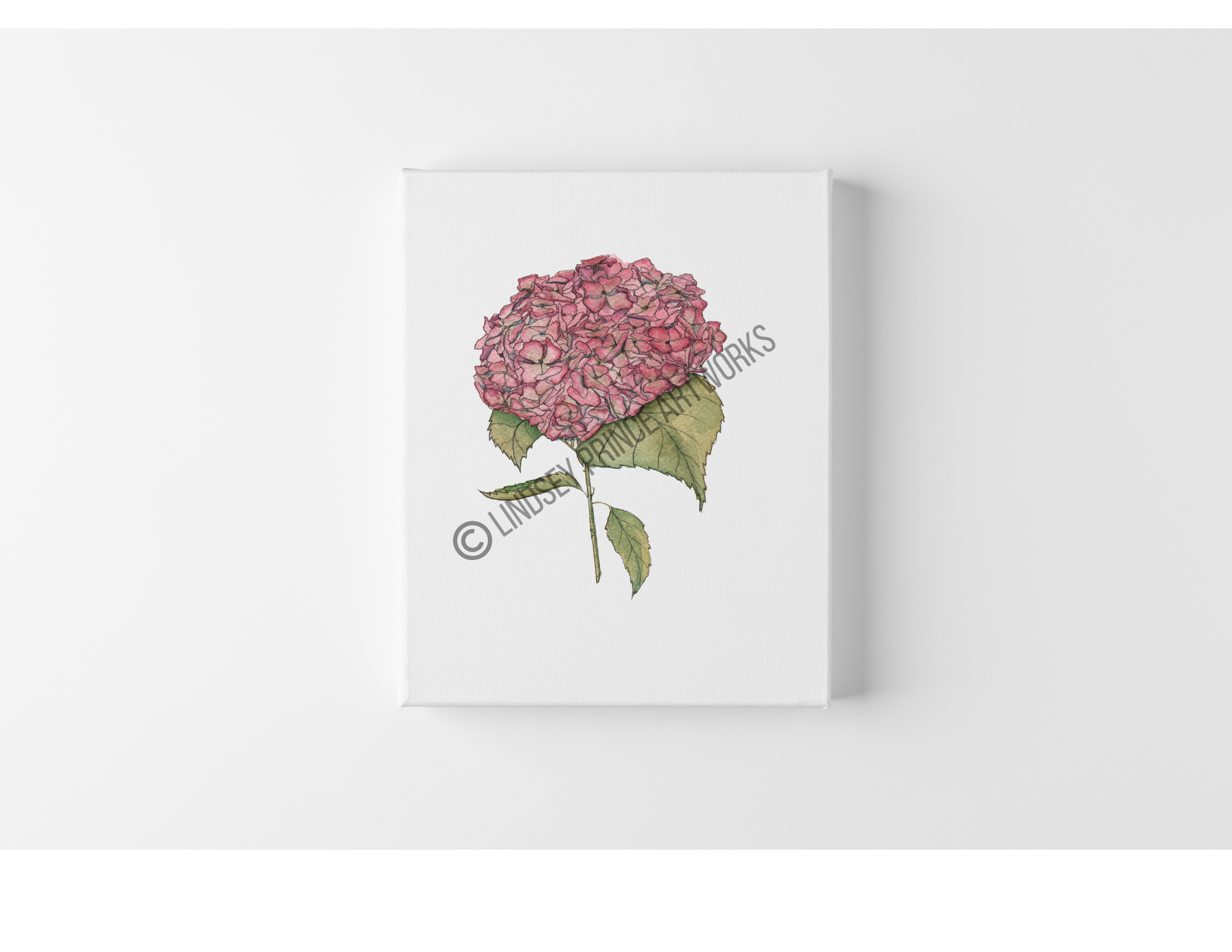 "Pink Hydrangea" 2026 - Prints available soon!