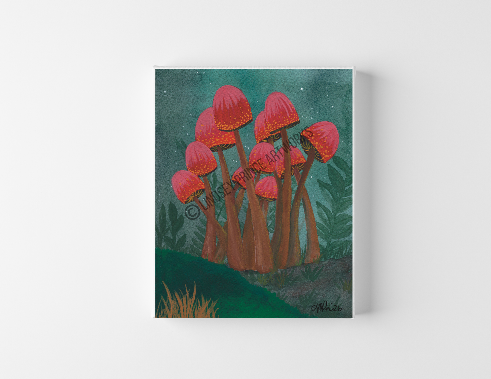 "Magic Mushrooms" 2026 - Prints release 11/11