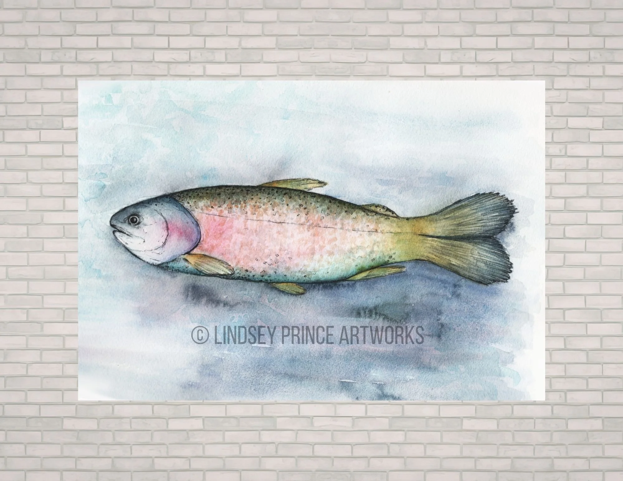 "Rainbow Trout" 2026