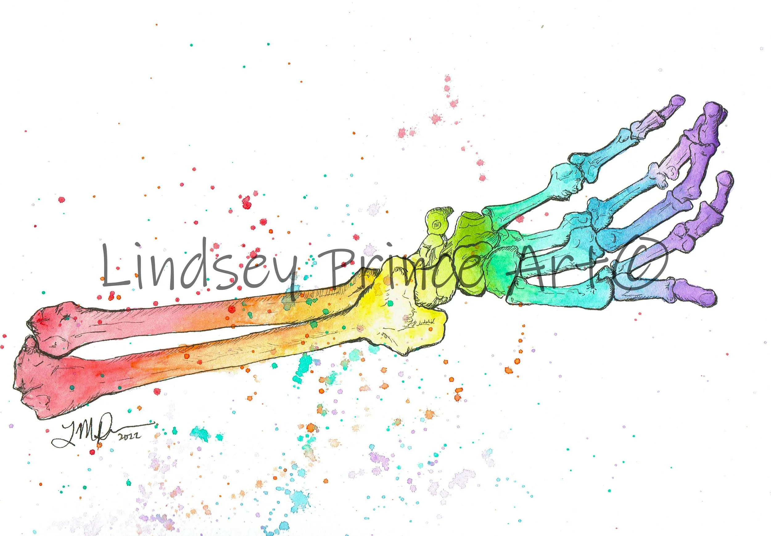 "Skeletal Series: Arm" 2022