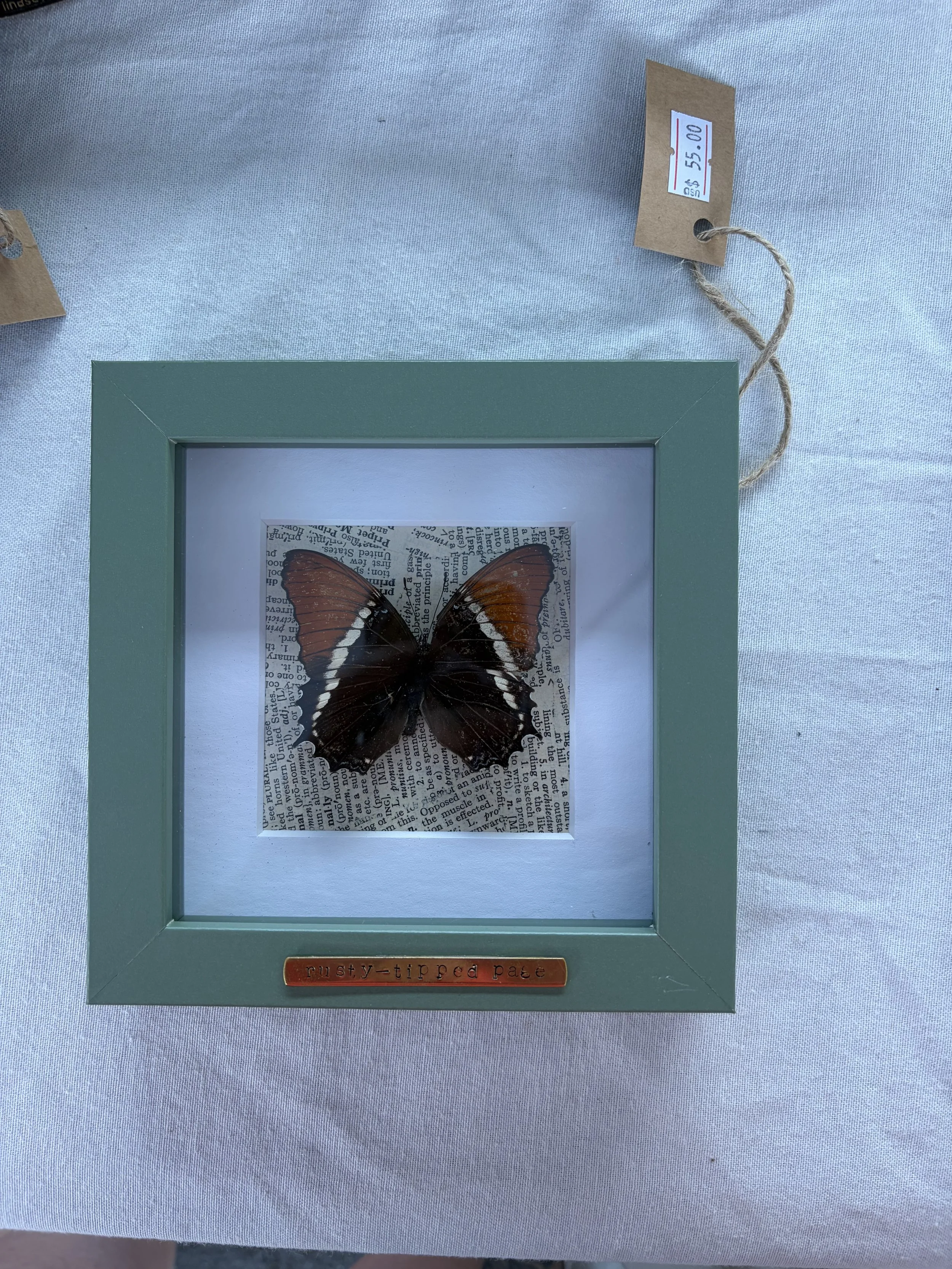 IMG_6419.jpeg