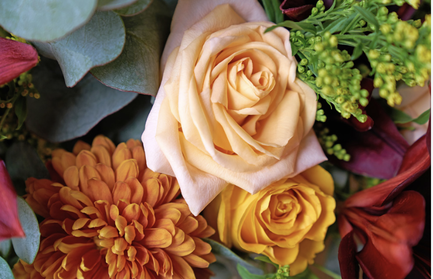 Screenshot 2026-04-17 at 1.17.08 PM.png