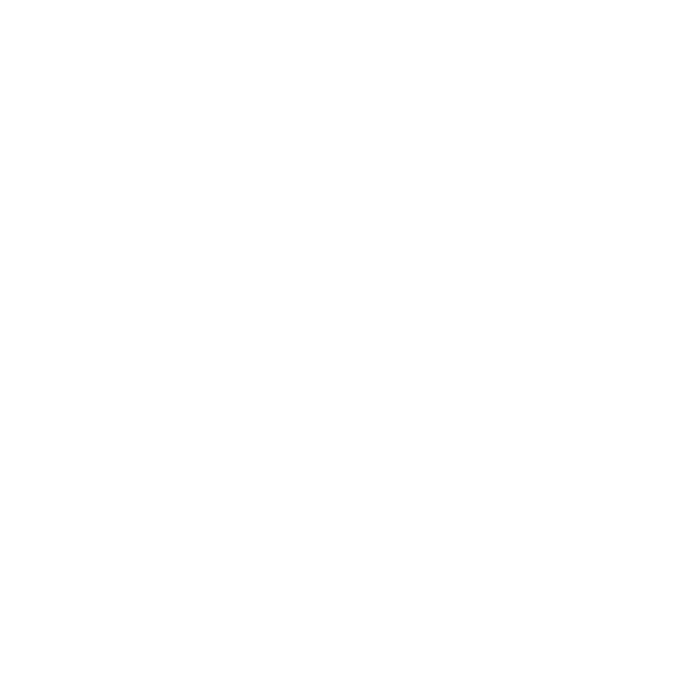 BOW &amp; ARROW TULUM