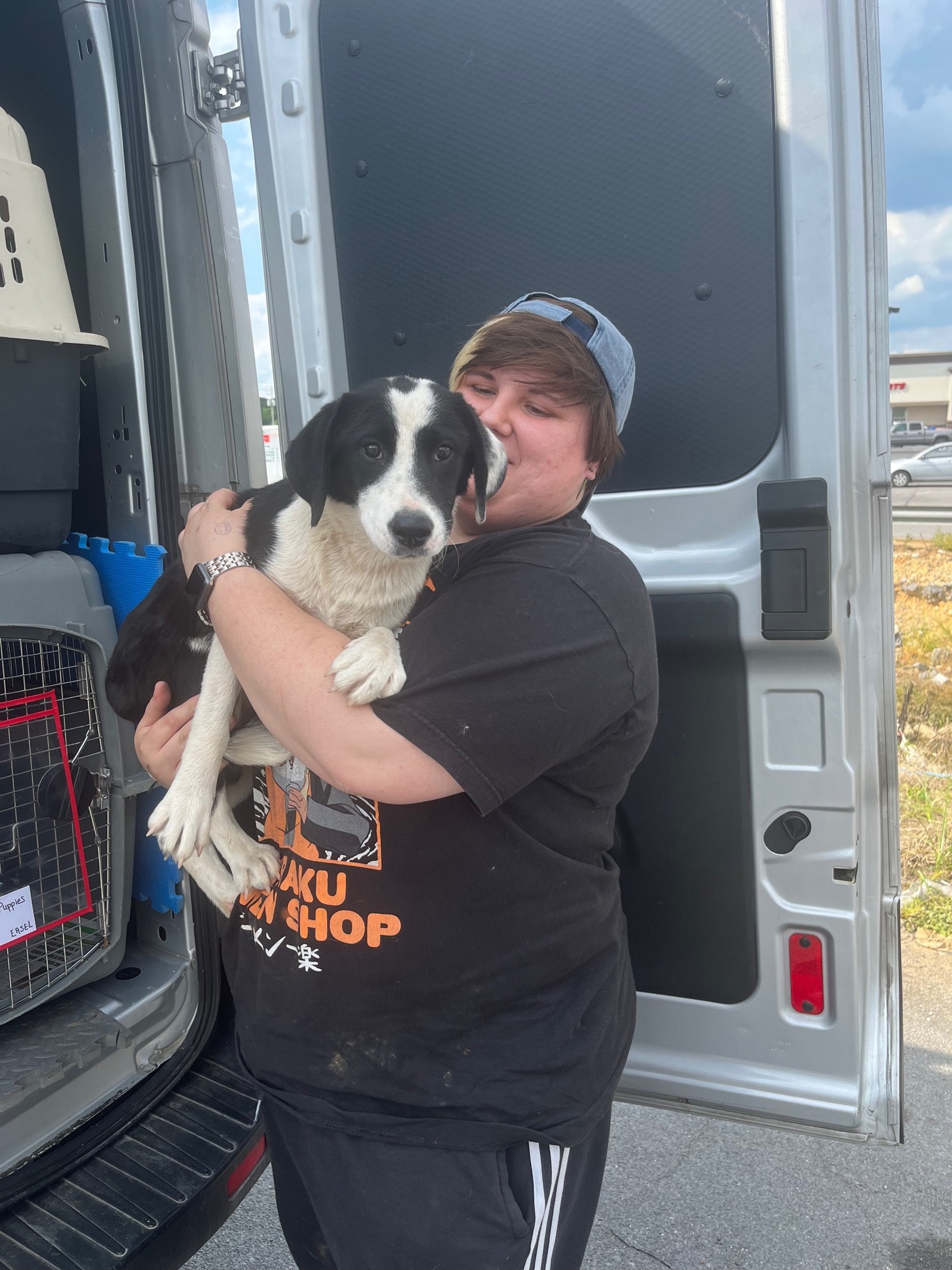 A person holding a black and white puppy outdoors near a van, with a parking lot and stores in the background.