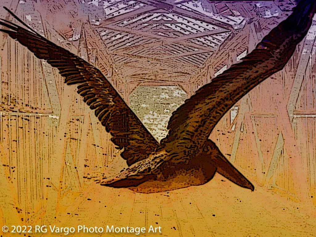 Wings #149
