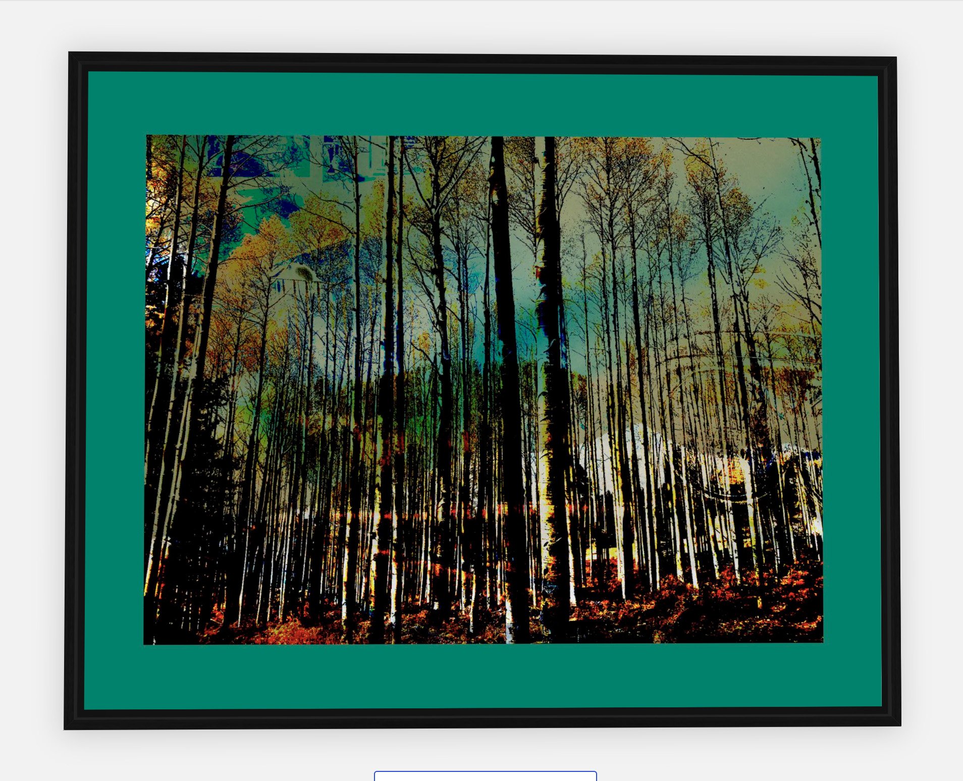 #767 "Tree Filter" ©2025 RG Vargo PhotoMontage Art.  30" x 24" signed Black Wood framed canvas print.  $525