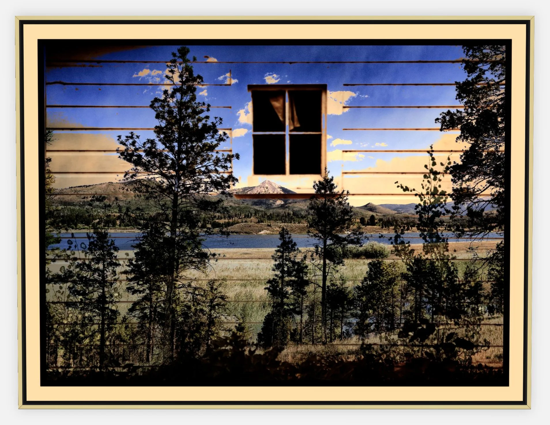 #393 "Peeking in the Trees" ©2025 R G Vargo PhotoMontage Art. 46.5" x 35.5" signed Gold framed canvas print. $700