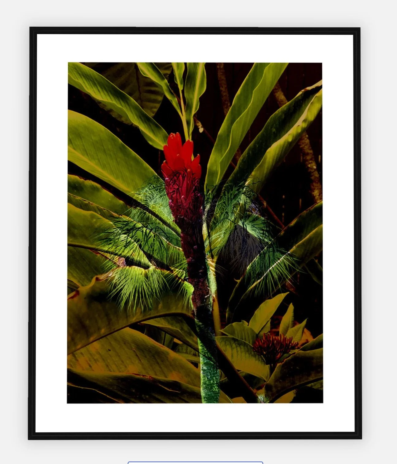 #1068 "Poppin' Red" ©2025 RG Vargo PhotoMontage Art. 33.5" x 41.5" signed Black Wood framed canvas print.  $725