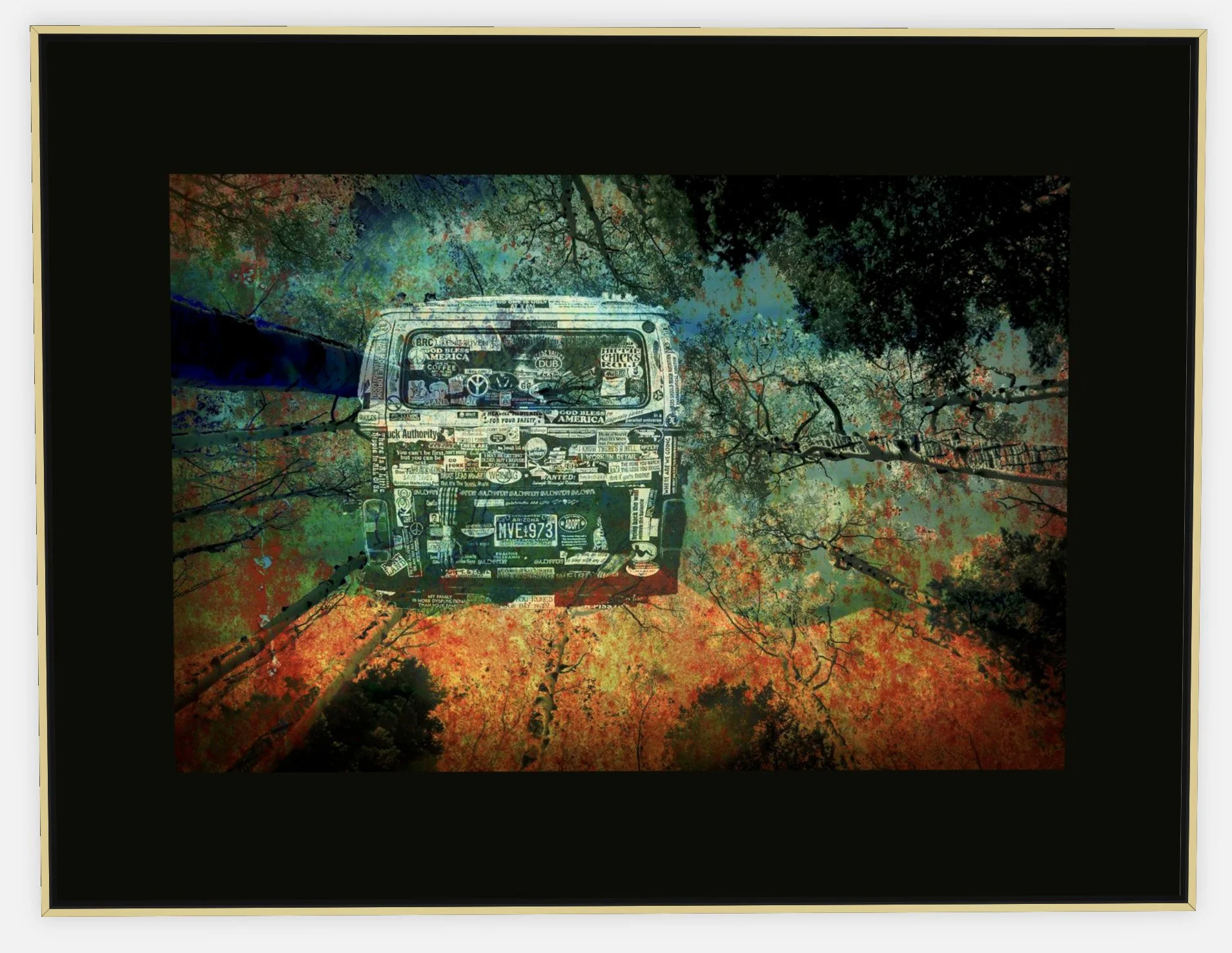 #841 "Hippie Hallucination" ©2025 RG Vargo PhotoMontage Art. 54.5" x 41.5" signed Gold framed canvas print.
