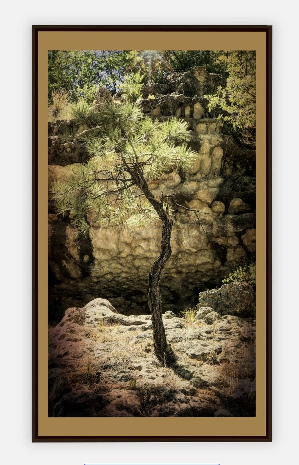 #738 "Hard Life" ©2025 RG Vargo PhotoMontage Art. 28.5" x 49.5" signed Espresso Wood framed canvas print. $775