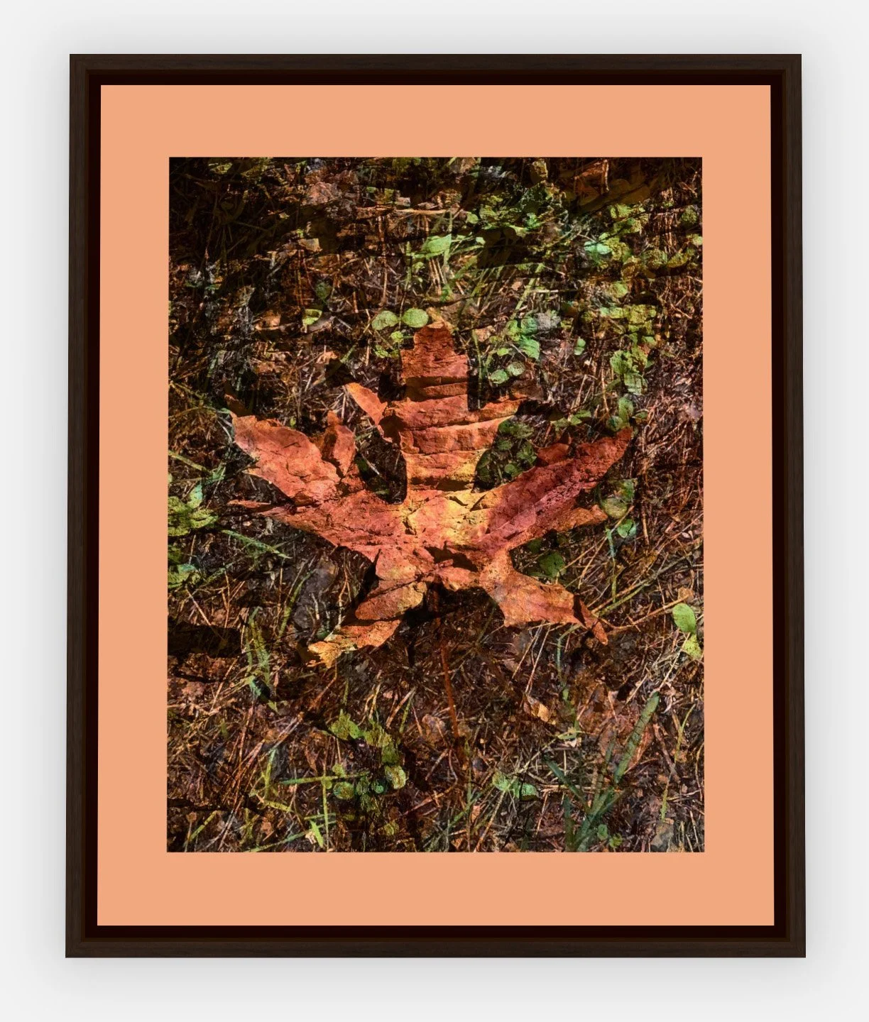 #1042 "Fallen Beauty" ©2025 RG Vargo PhotoMontage Art. 17.5" x 21.5" signed Espresso Wood framed canvas print. $350