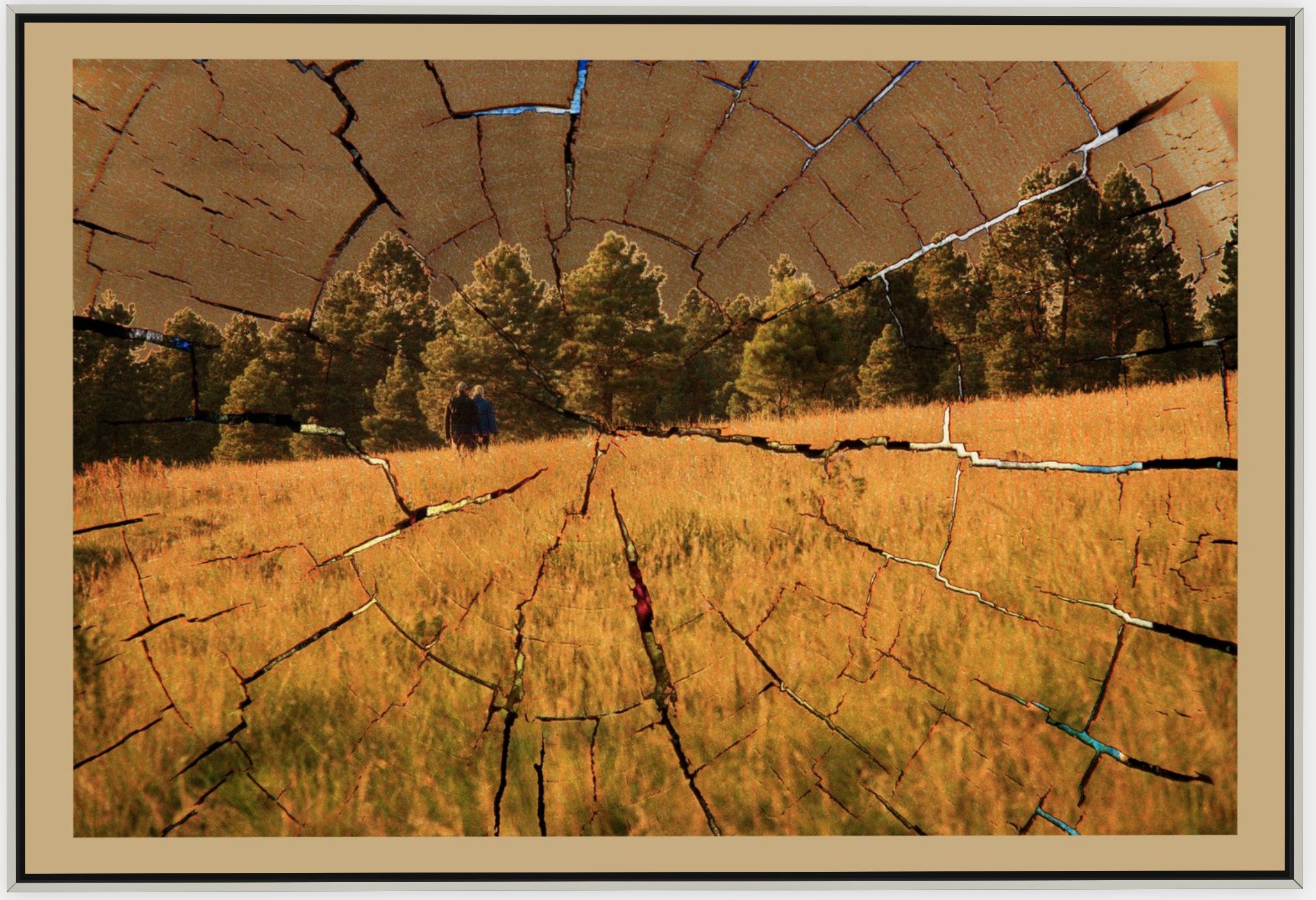 #637 "Nature's Crack" ©2025 RG Vargo PhotoMontage Art.  53.5" x 36.5" signed Silver framed canvas print.
