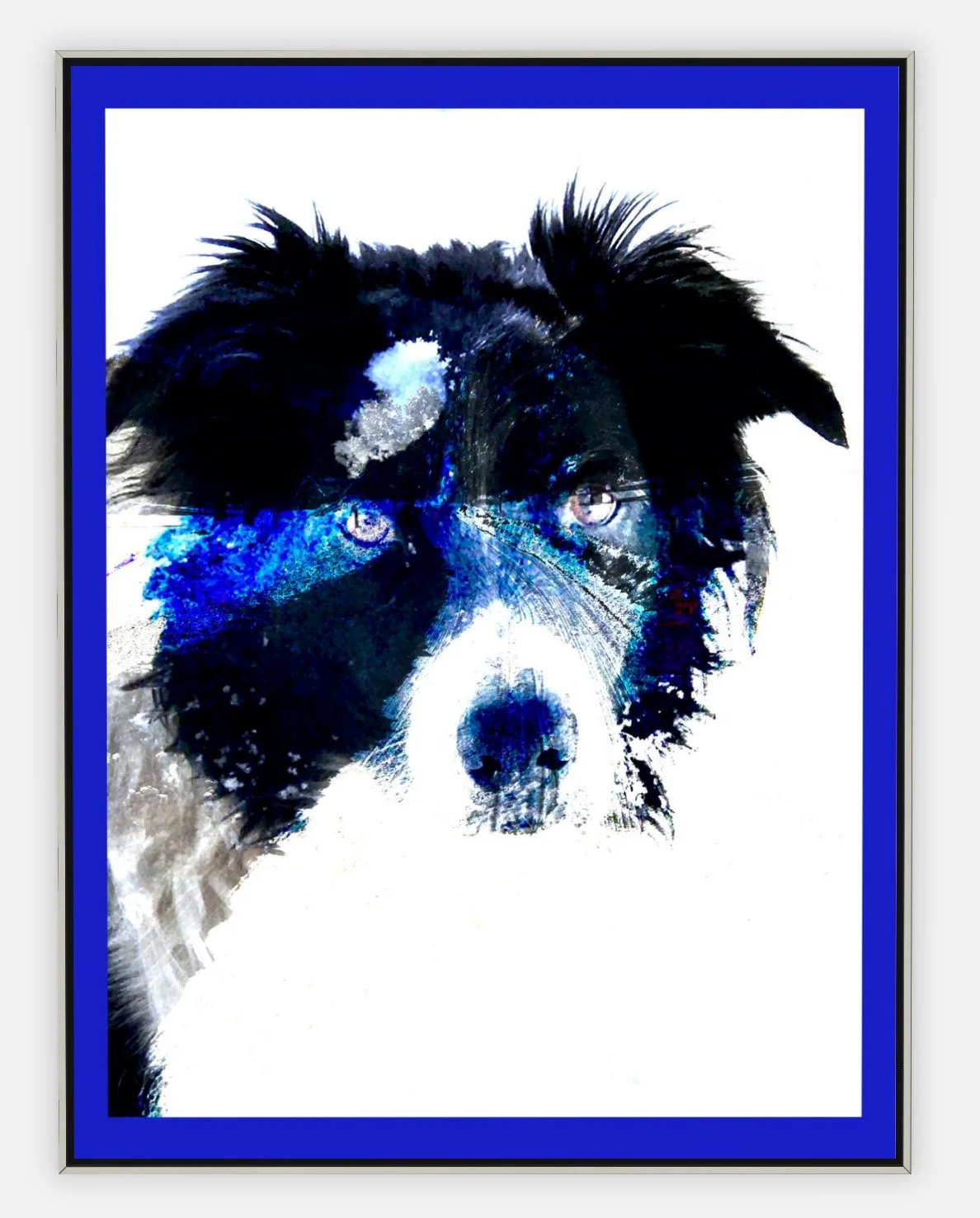 #843 "Blue Border Collie" ©2025 RG Vargo PhotoMontage Art.  41.5" x 54.5" signed Silver framed canvas print.
