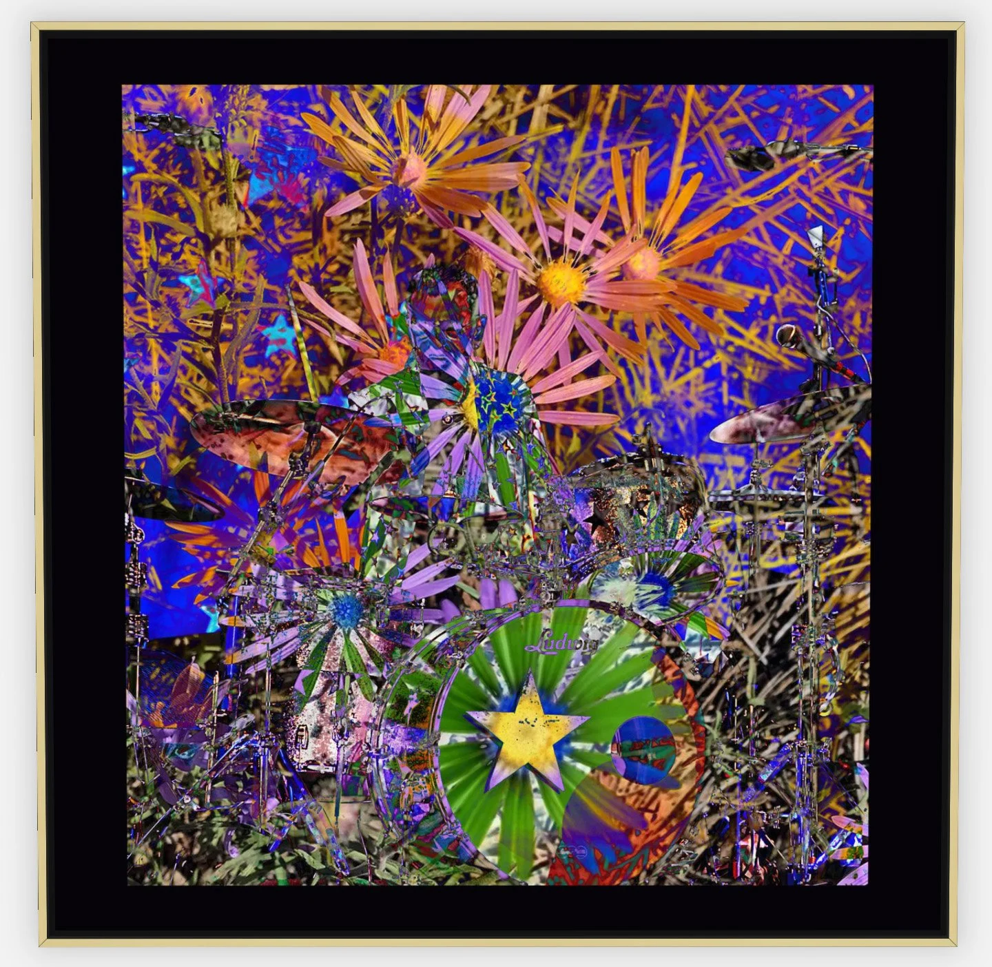 #1116 "Flower Fireworks" ©2025 RG Vargo PhotoMontage Art.  41.5" x 41.5" signed Gold framed canvas print. $600