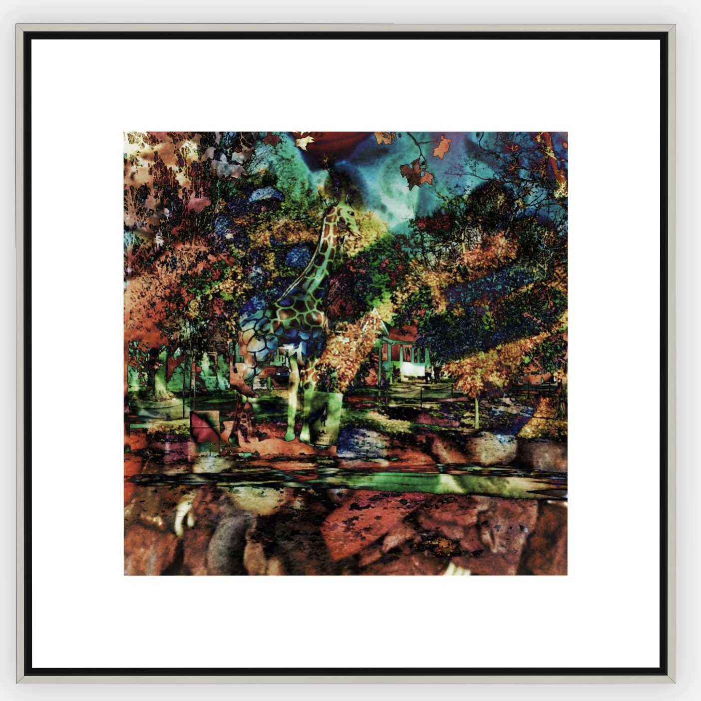 #1017 "Nessie the Giraffe" ©2025 RG Vargo PhotoMontage Art. 31.5" x 31.5" signed Silver framed canvas print.