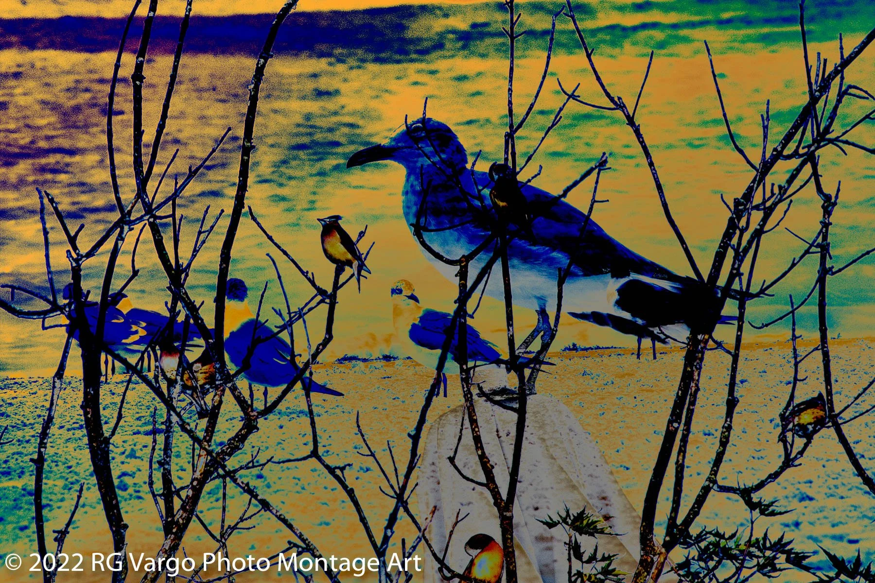 Wings #543