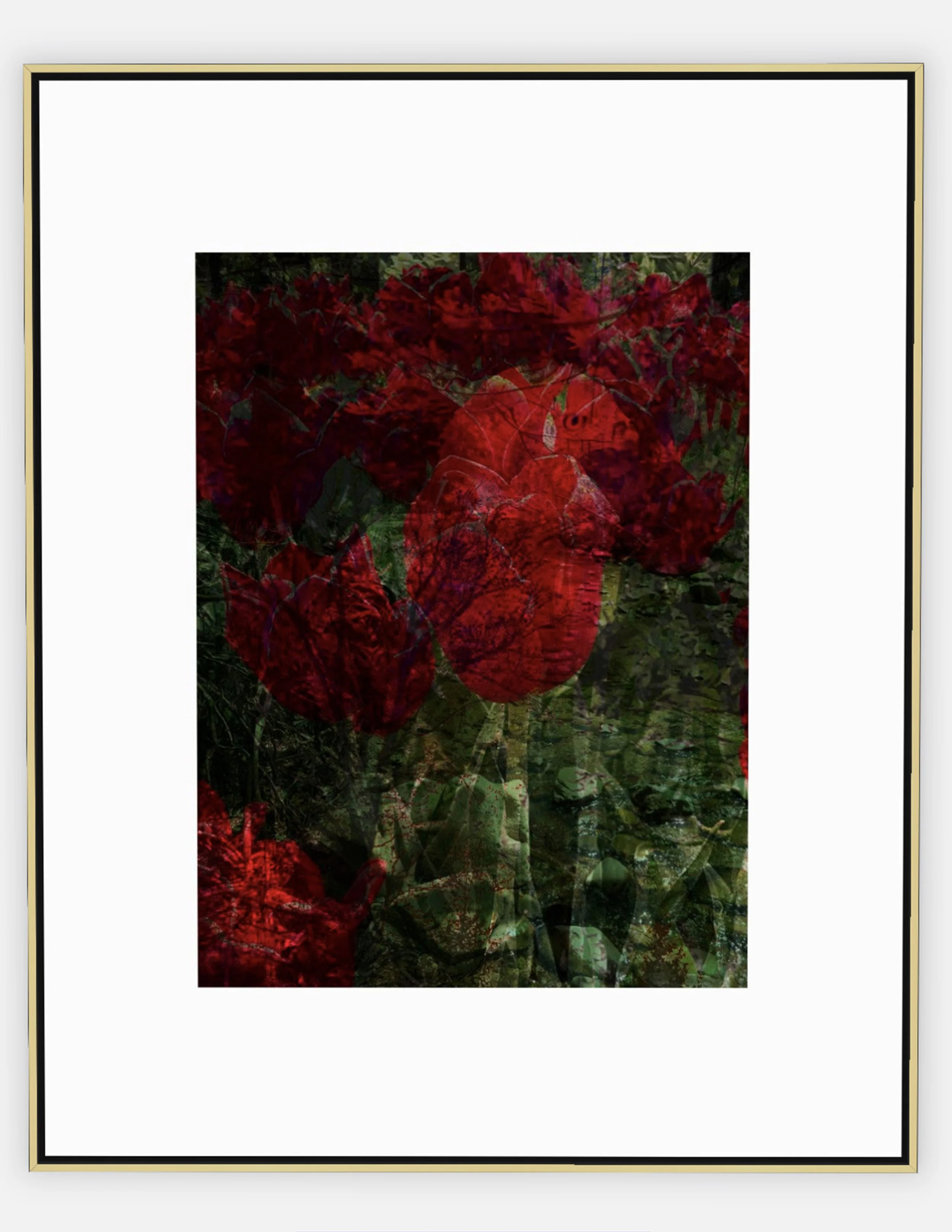 #547 "Chirp" ©2025 RG Vargo PhotoMontage Art. 41.5" x 51.5" signed Gold framed canvas print. $850