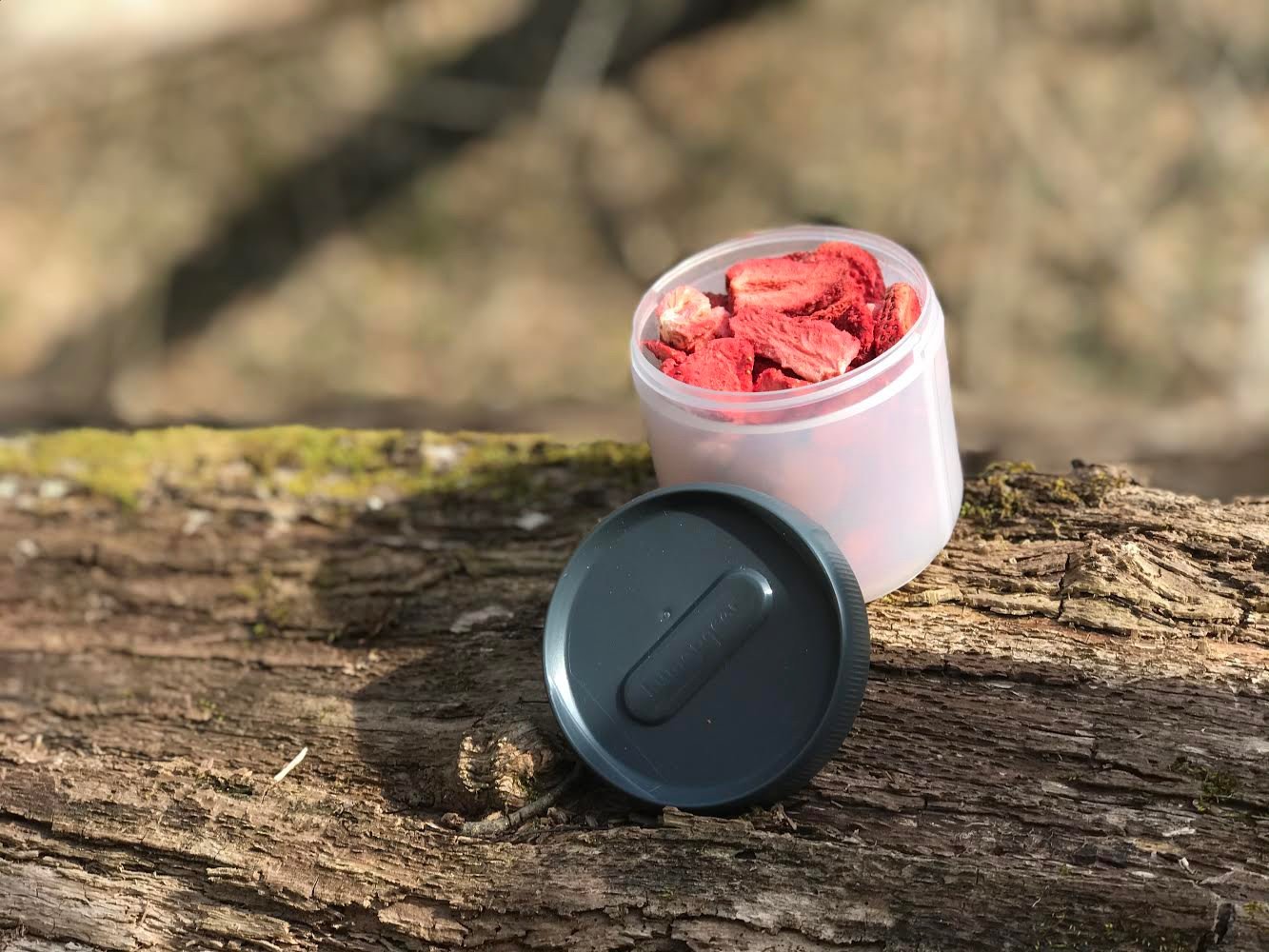 Plastic container with freeze-dried strawberries on a wooden surface outdoors.
